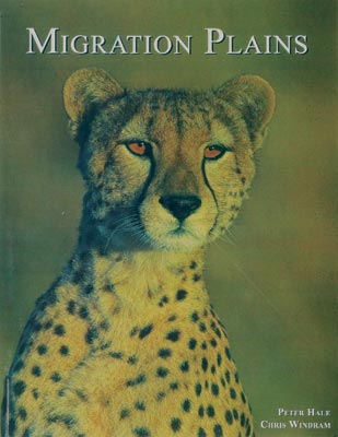 Migration Plains