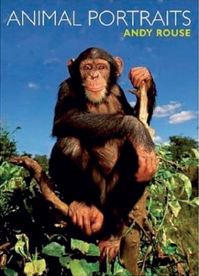 Animal Portraits