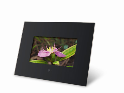 Braun DigiFrame 1020