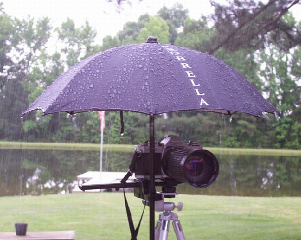 Probrella