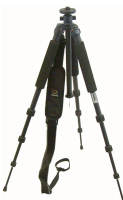 Giottos GB1140 / MH1002 head