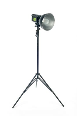 Lastolite Ray D8