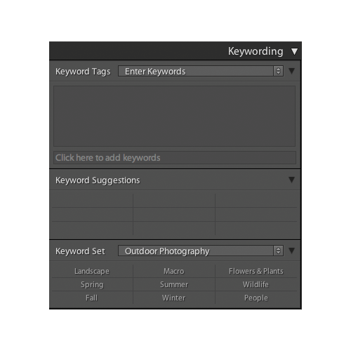 Adobe Lightroom 2.0