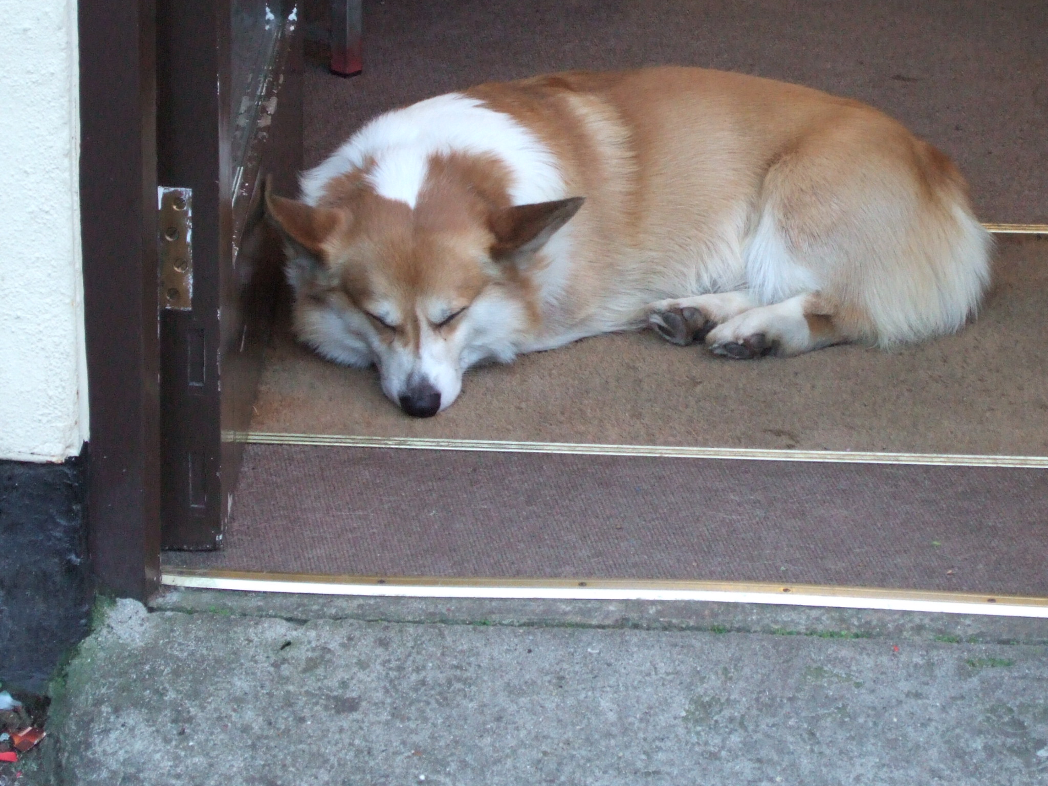 DSCF0074.JPG