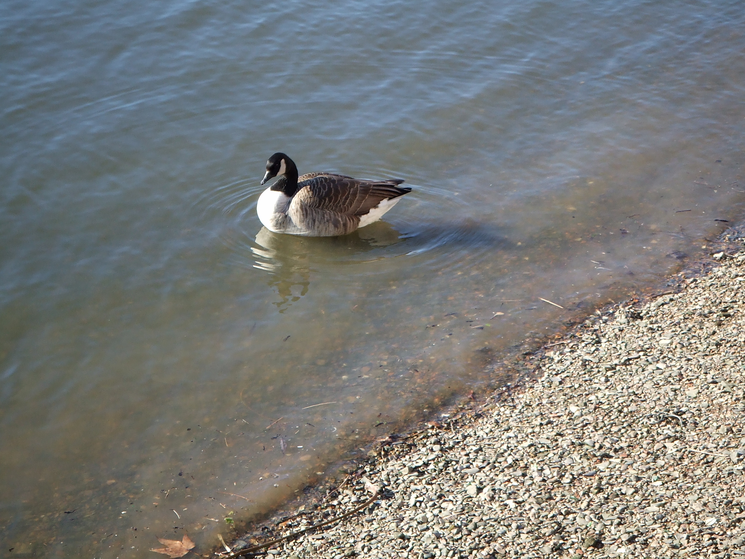 Fujifilm Z214.JPG