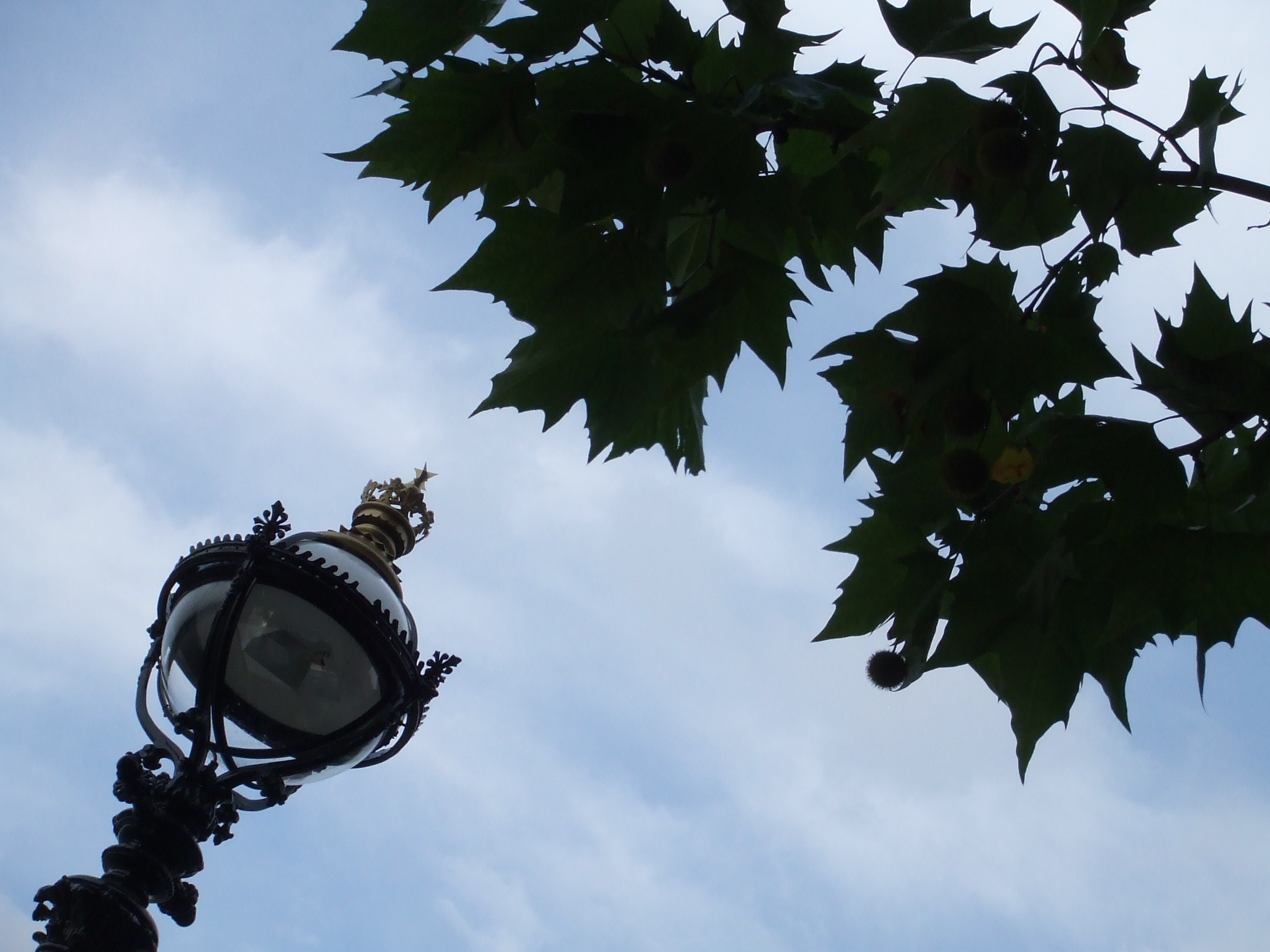 Fuji FinePix Z3 Sample Image f8.9 1/263 sec ISO 200 11.2mm
