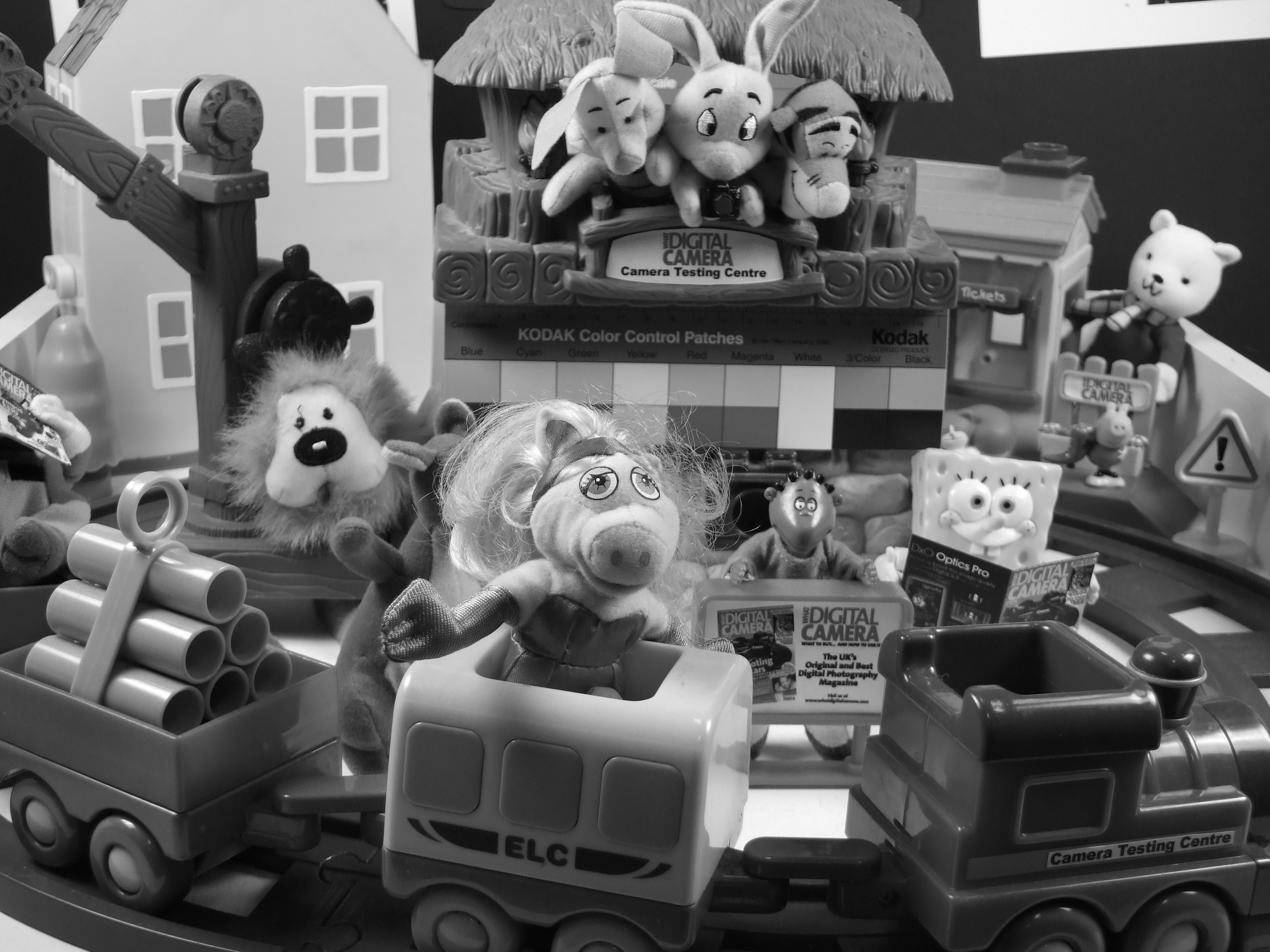 Fujifilm FinePix S6500FD Sample Image In Mono Mode