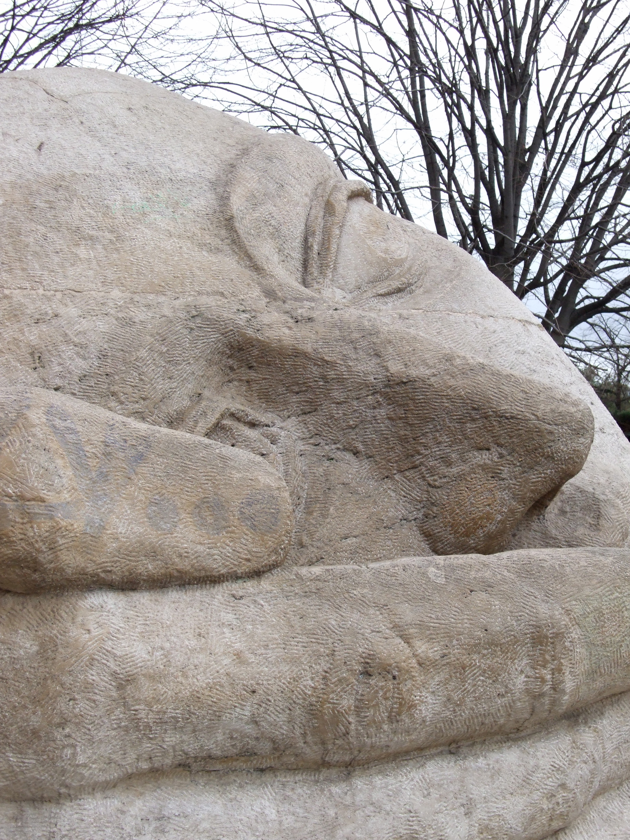 Fuji FinePix F31fd Sample Image f5.7 ISO400 1/234sec