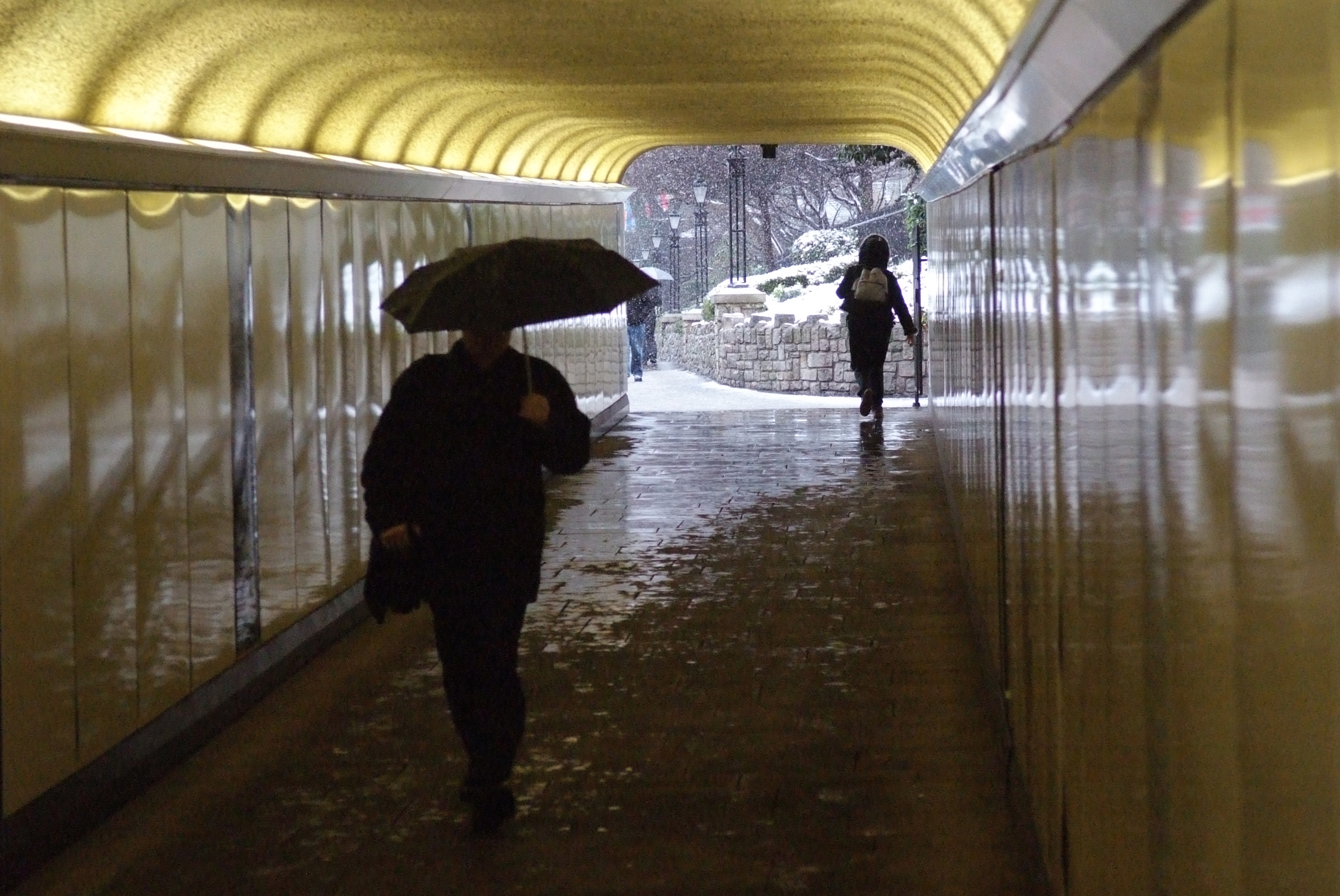 Fujifilm S5 Pro High ISO Sample Image f4.0 1/228sec ISO3200 55mm