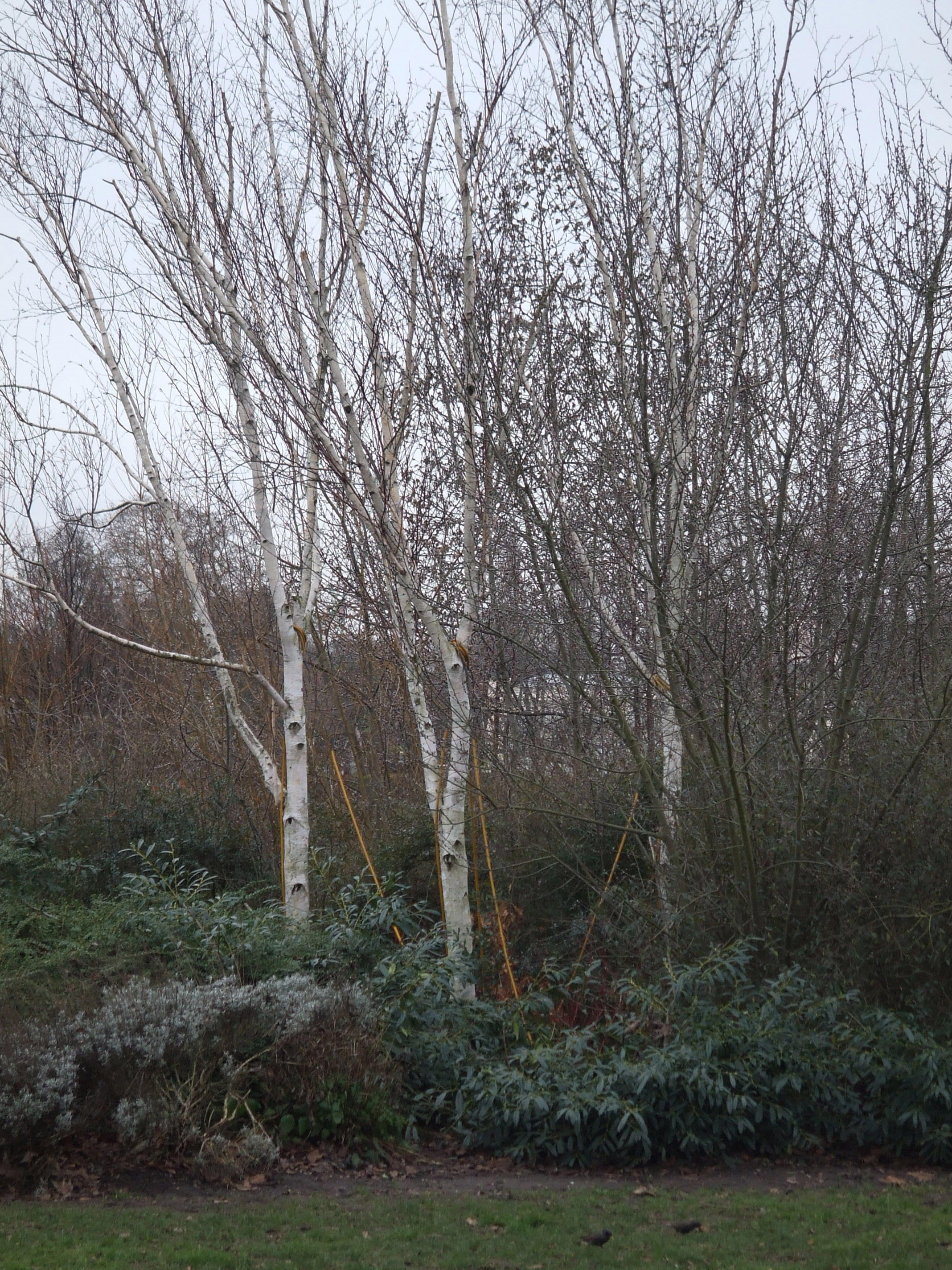 Fuji Finepix Z5 Sample Image f4.1 ISO100