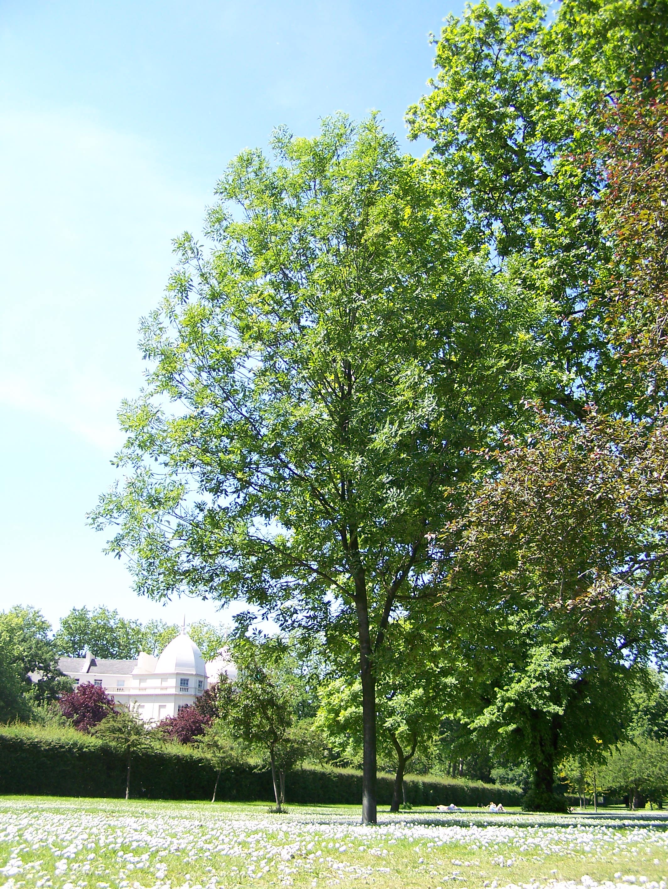 Kodak Z650 Sample Image 1