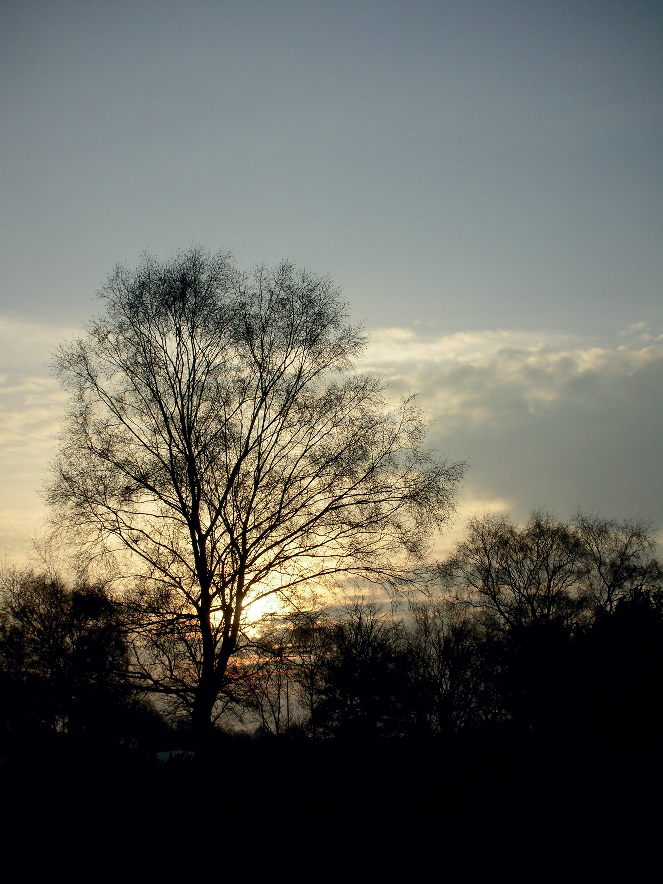 Kodak EasyShare Z710 ISO64 f4 6.3mm 1/813sec