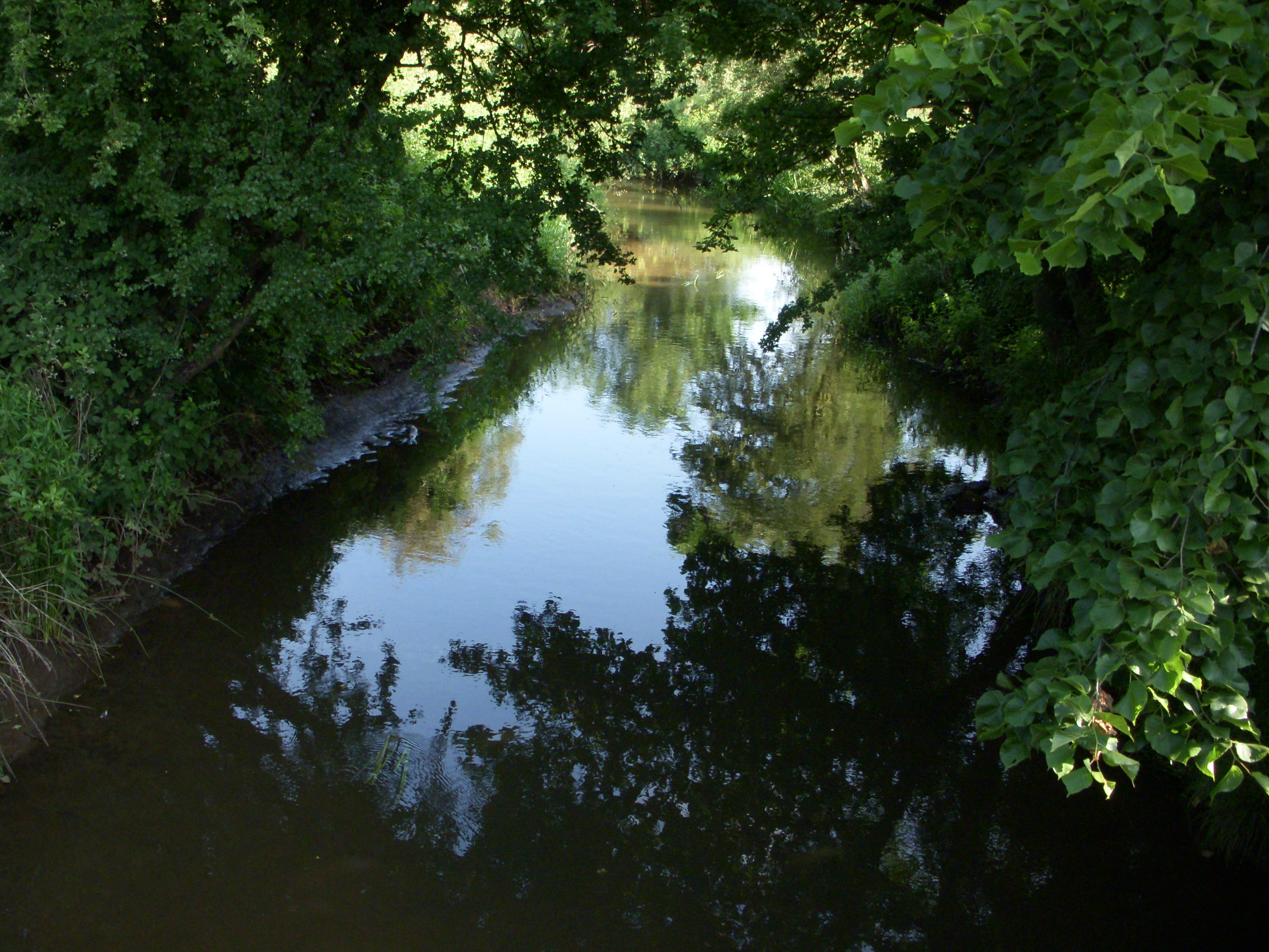 Nikon Coolpix S50c Sample Image f3.3 1/250sec ISO250