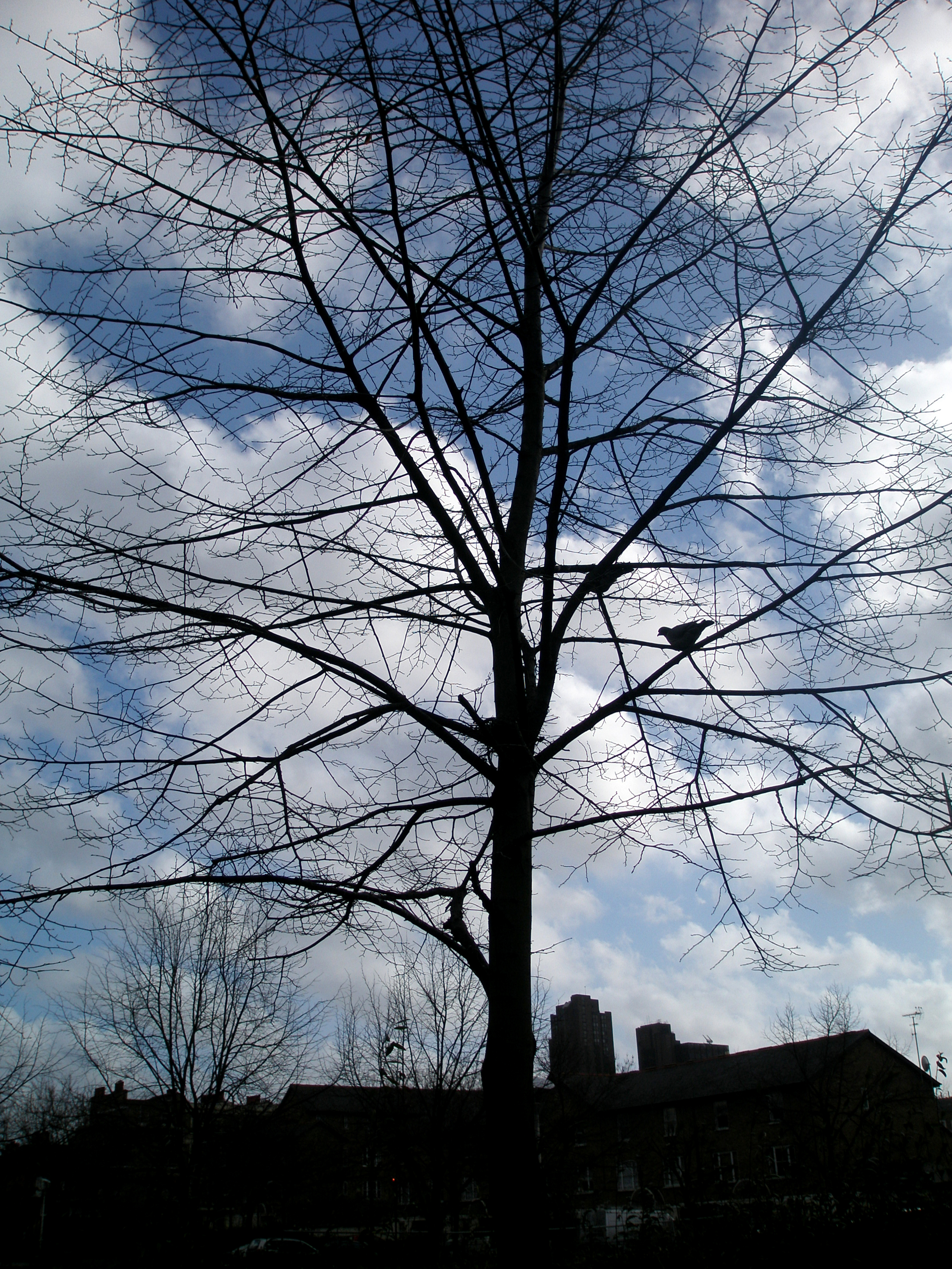 P1010022.jpg
