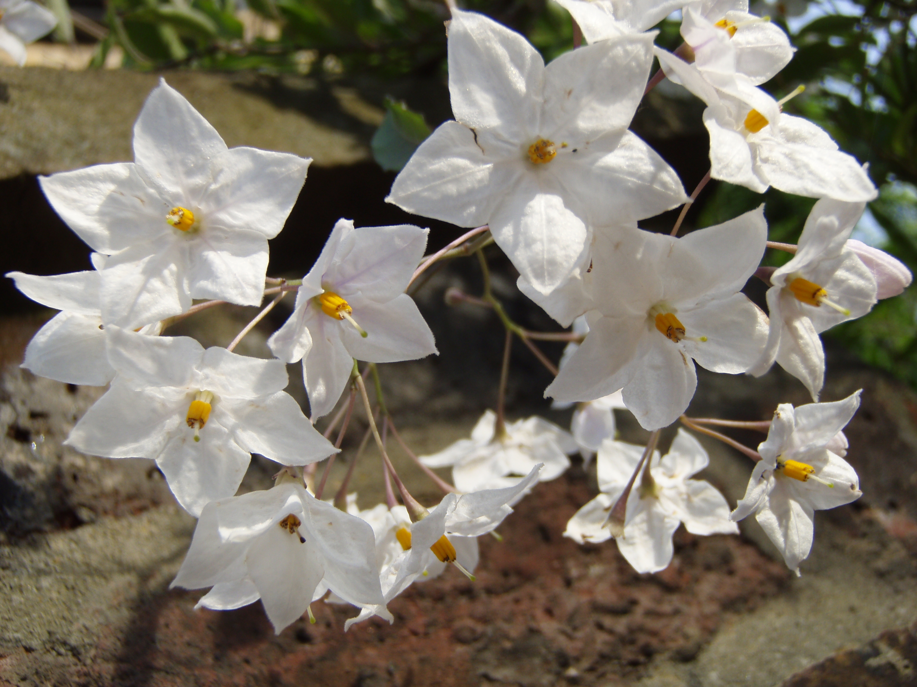 ISO80f4.0-9.1mm.JPG