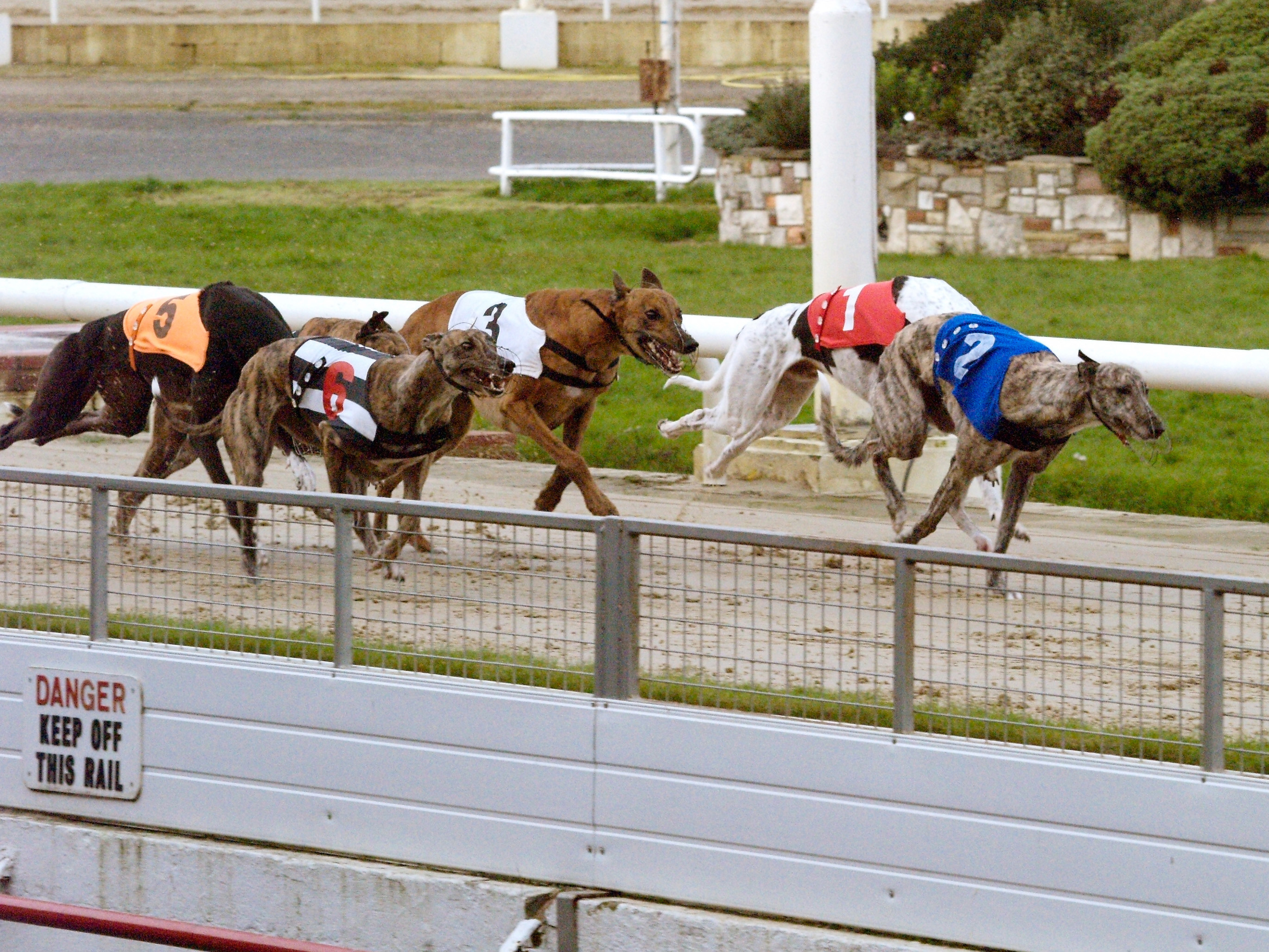 Olympus E400 ISO1600 f8 101mm 1/800sec