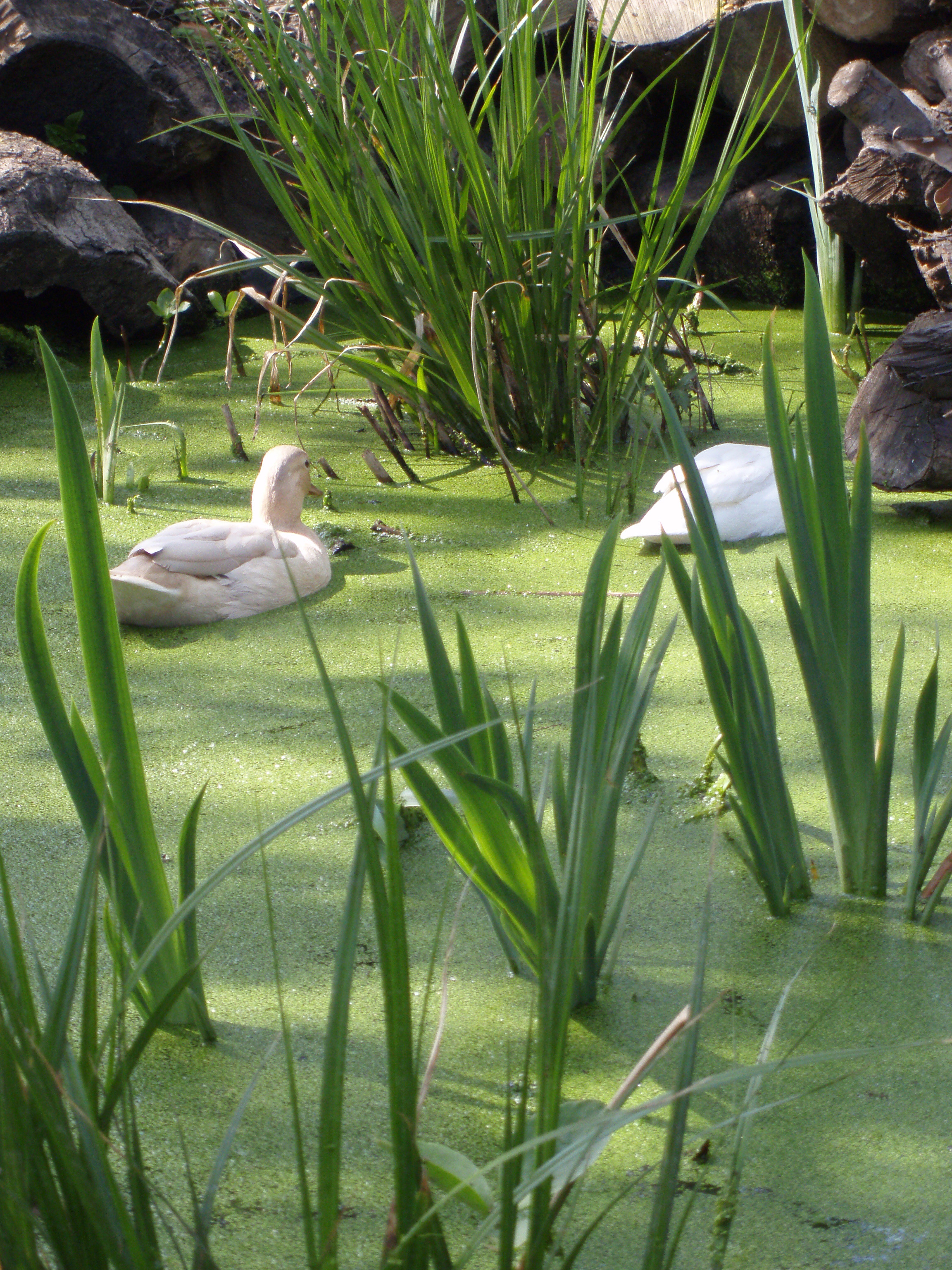 Olympus Mju 760 Sample Image f5.7 1/160sec ISO200