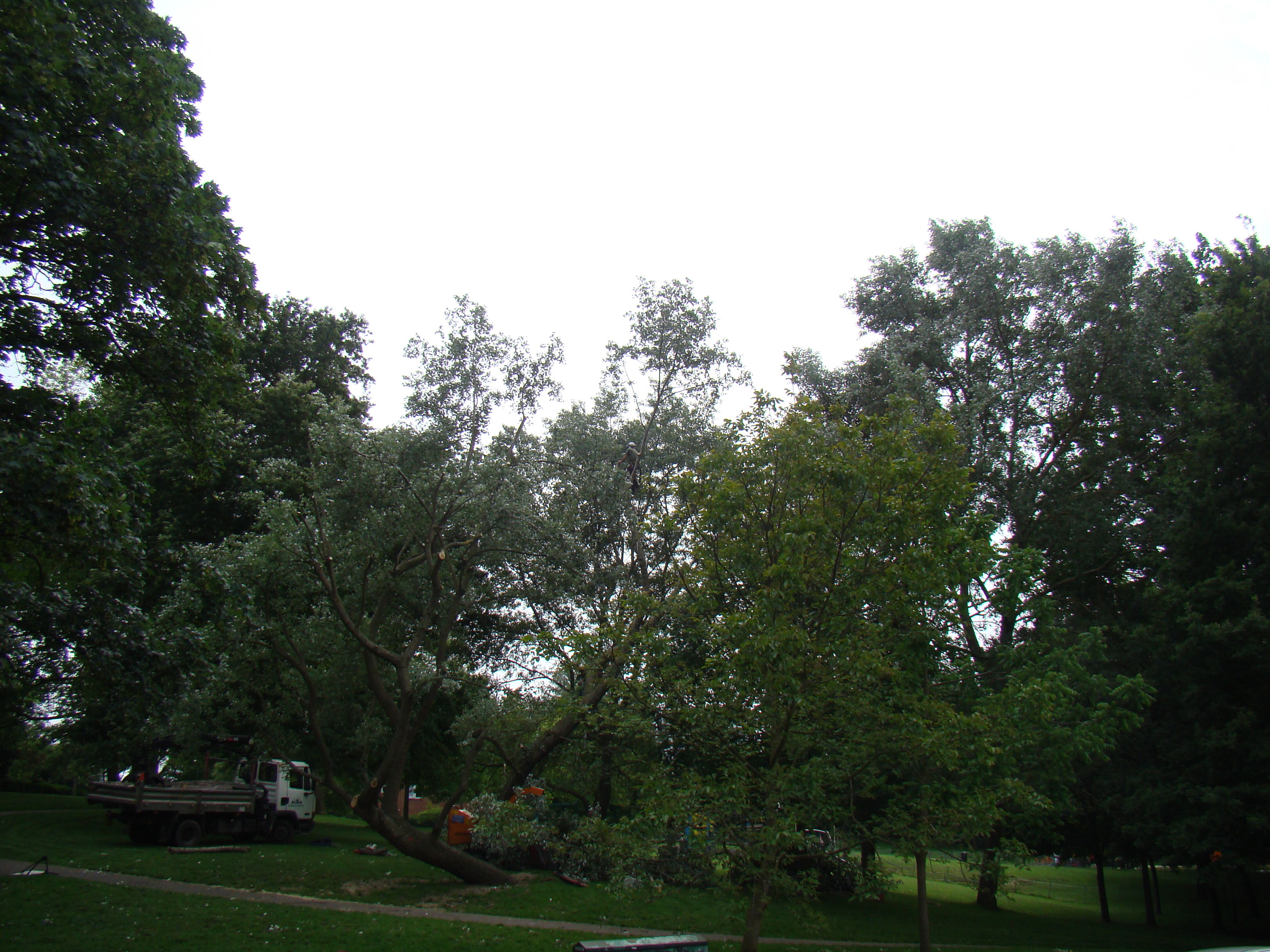 Sony Cyber-shot DSC-H9 Sample Image f5.6 1/500sec ISO100