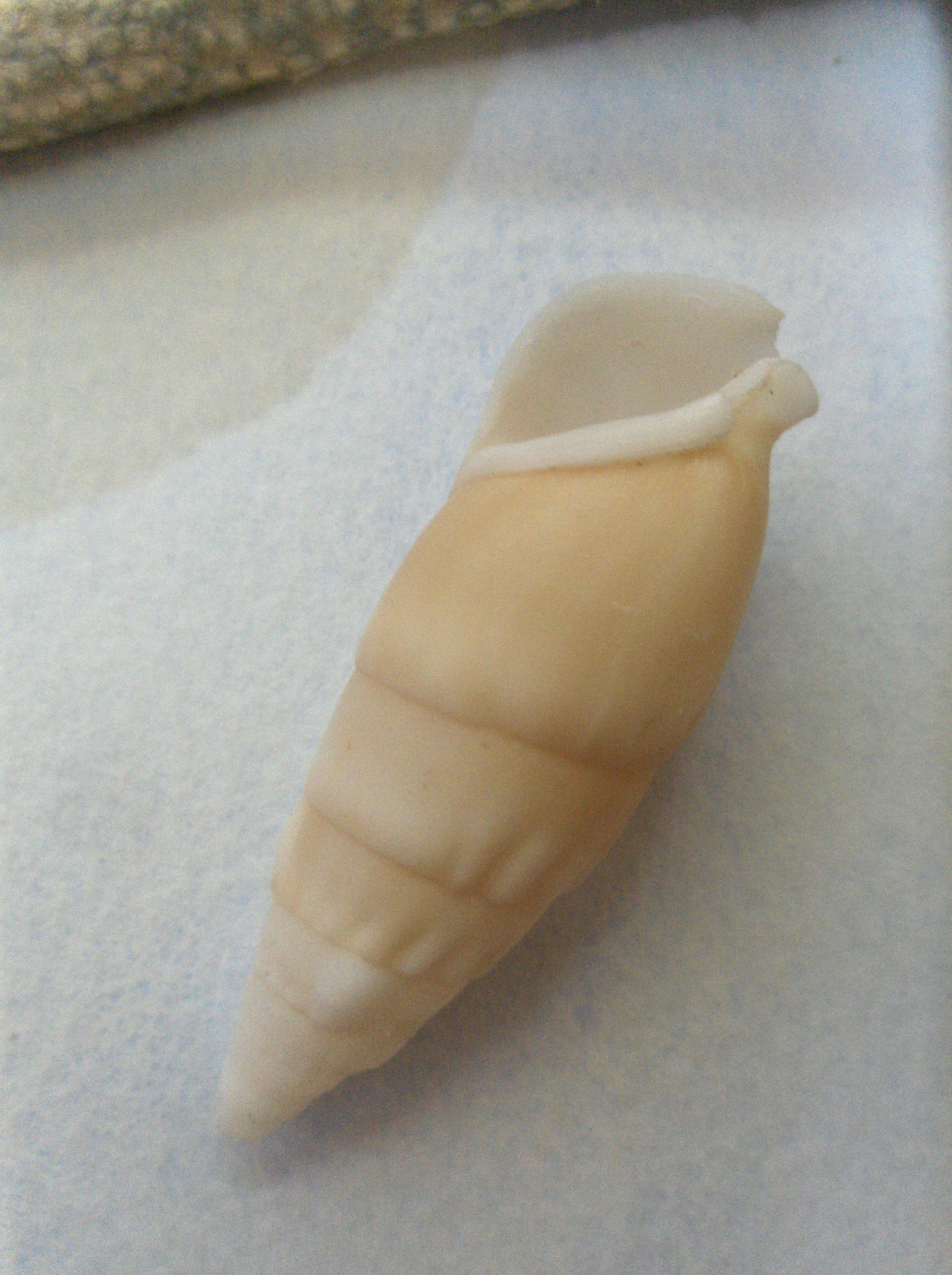 HPIM0011.jpg