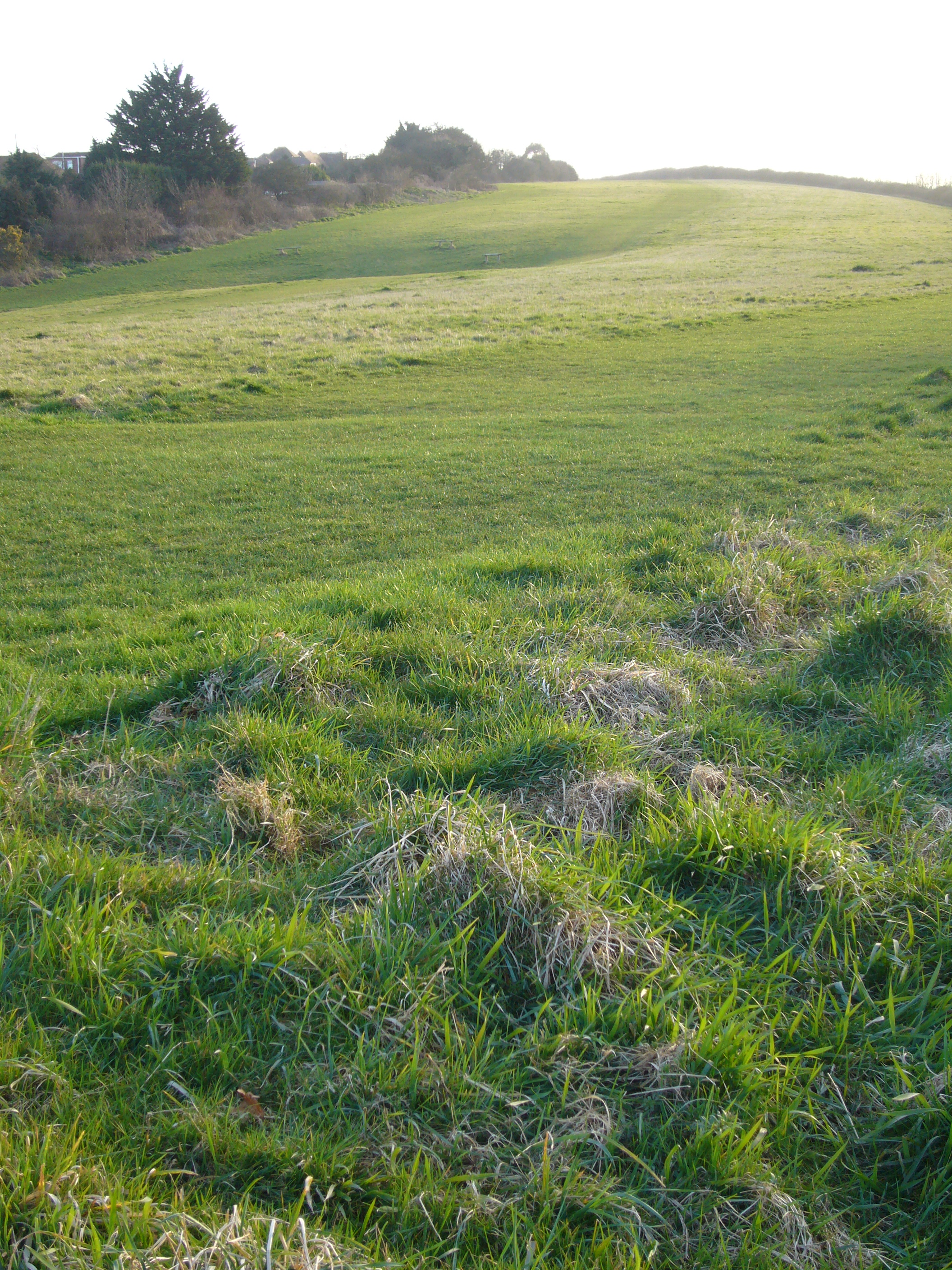 P1000162.JPG