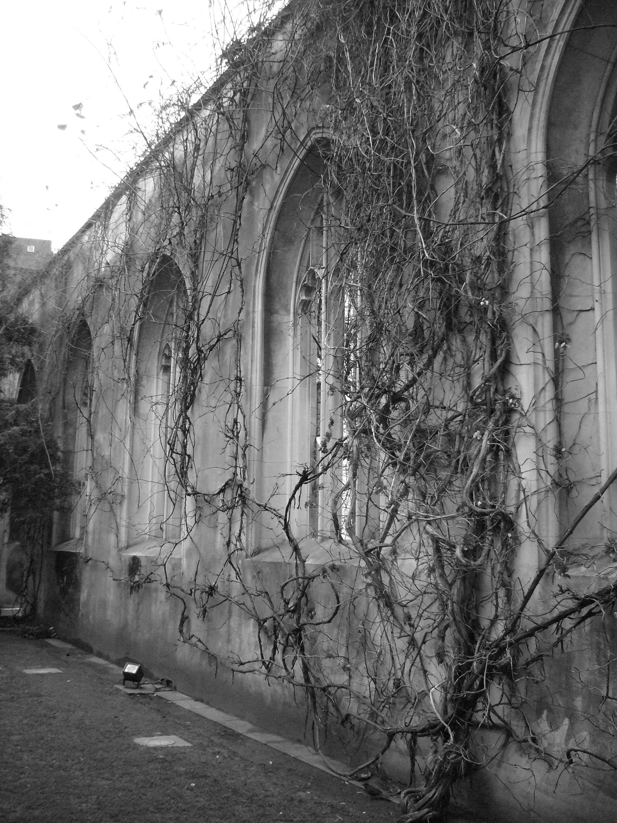 Panasonic Lumix FX3 Sample Image f2.8 Mono ISO400 1/60sec