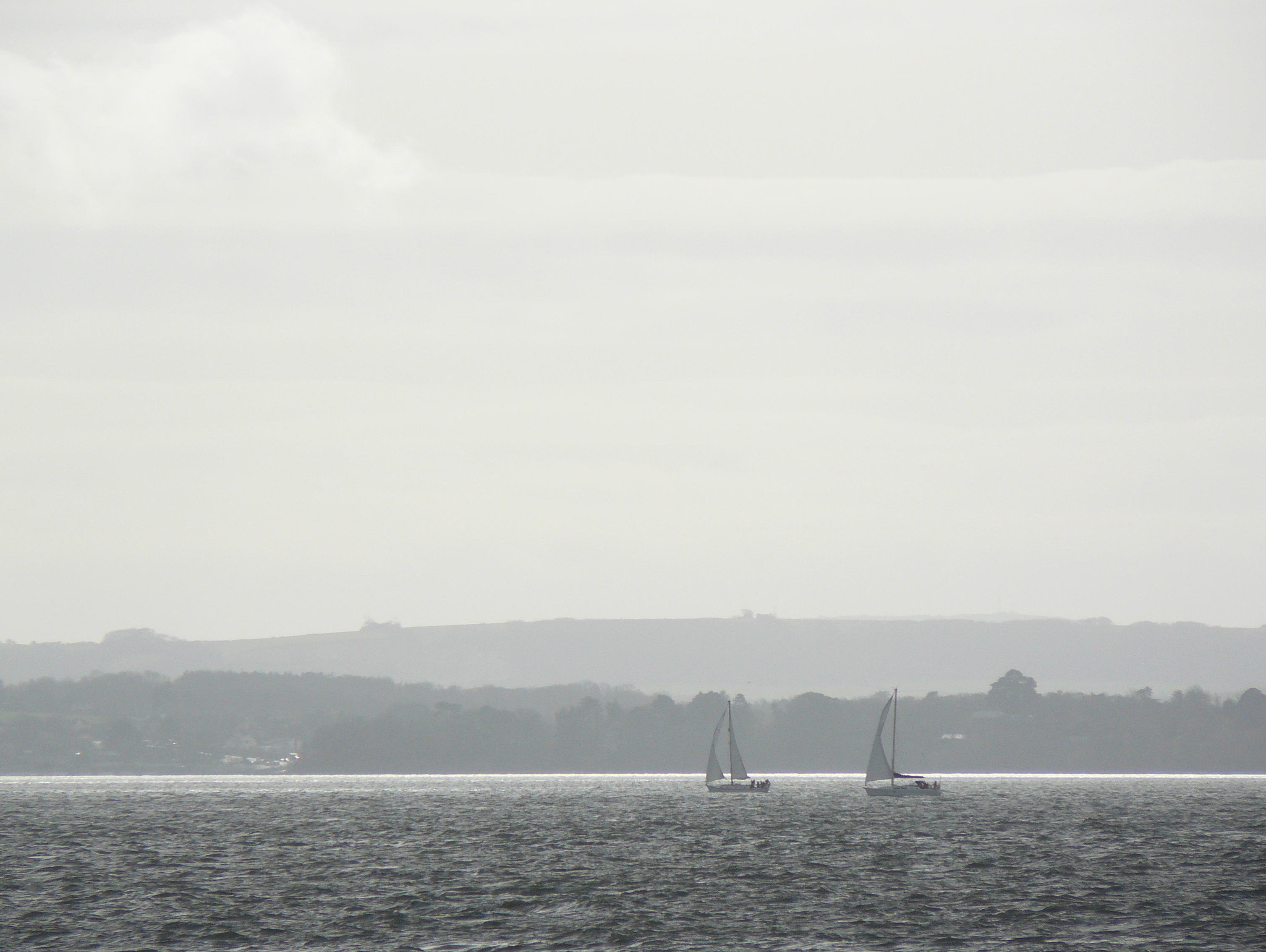 Panasonic Lumix FZ8 Sample Image f4.5 1/1000sec ISO100 72mm