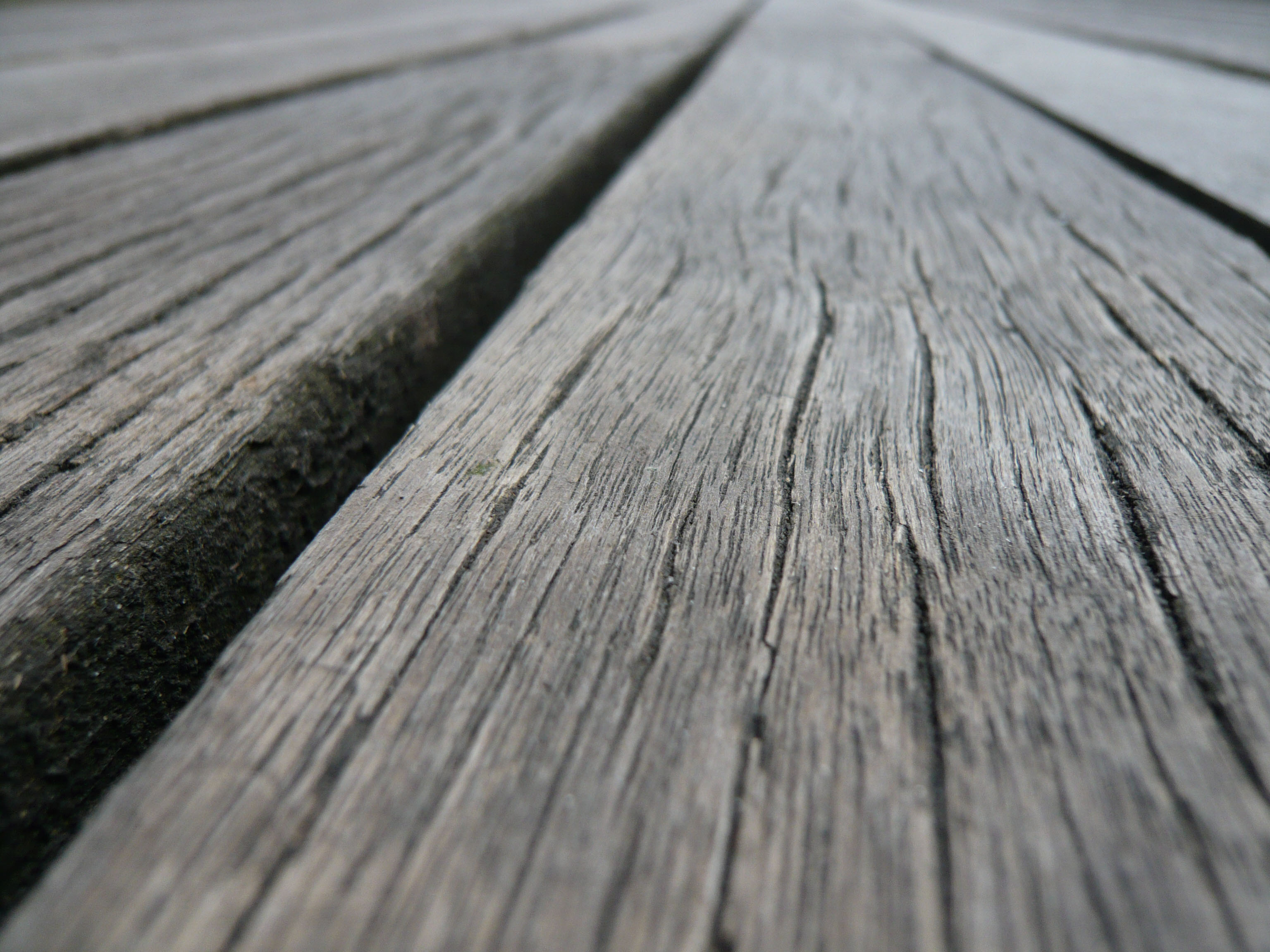 Panasonic Lumix FX30 Sample Image f2.8 1/320sec ISO100