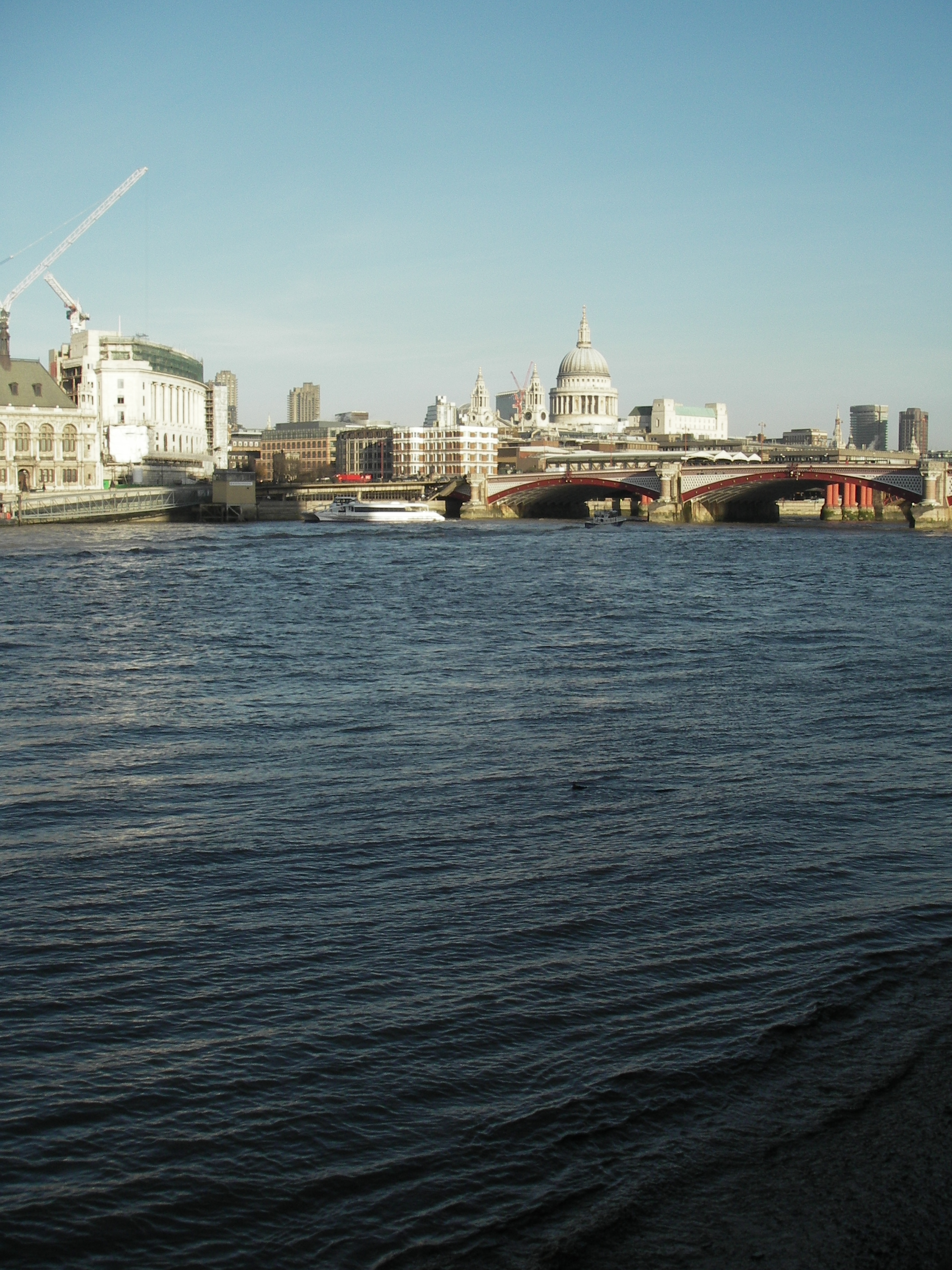IMGP0012.JPG
