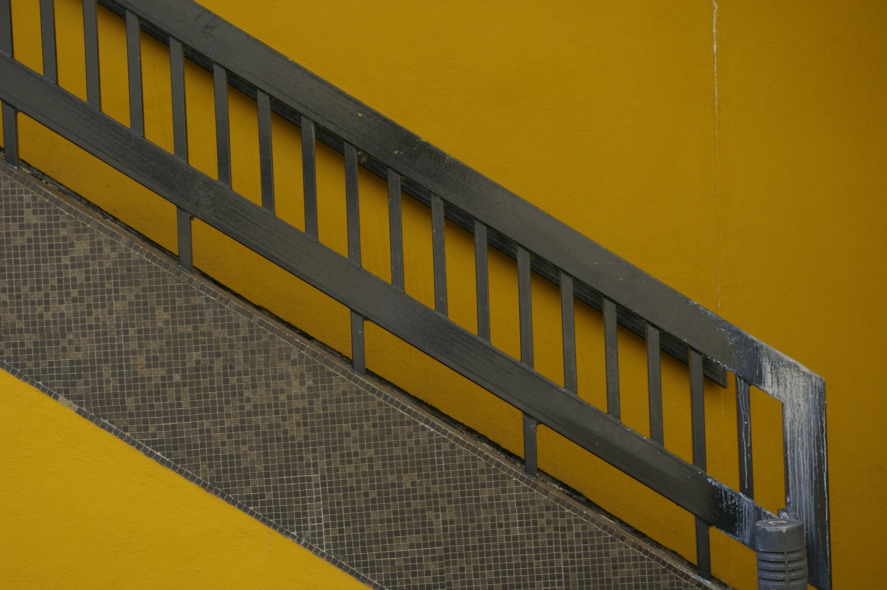 Pentax K100D Sample Image f8 1/90 ISO400 55mm
