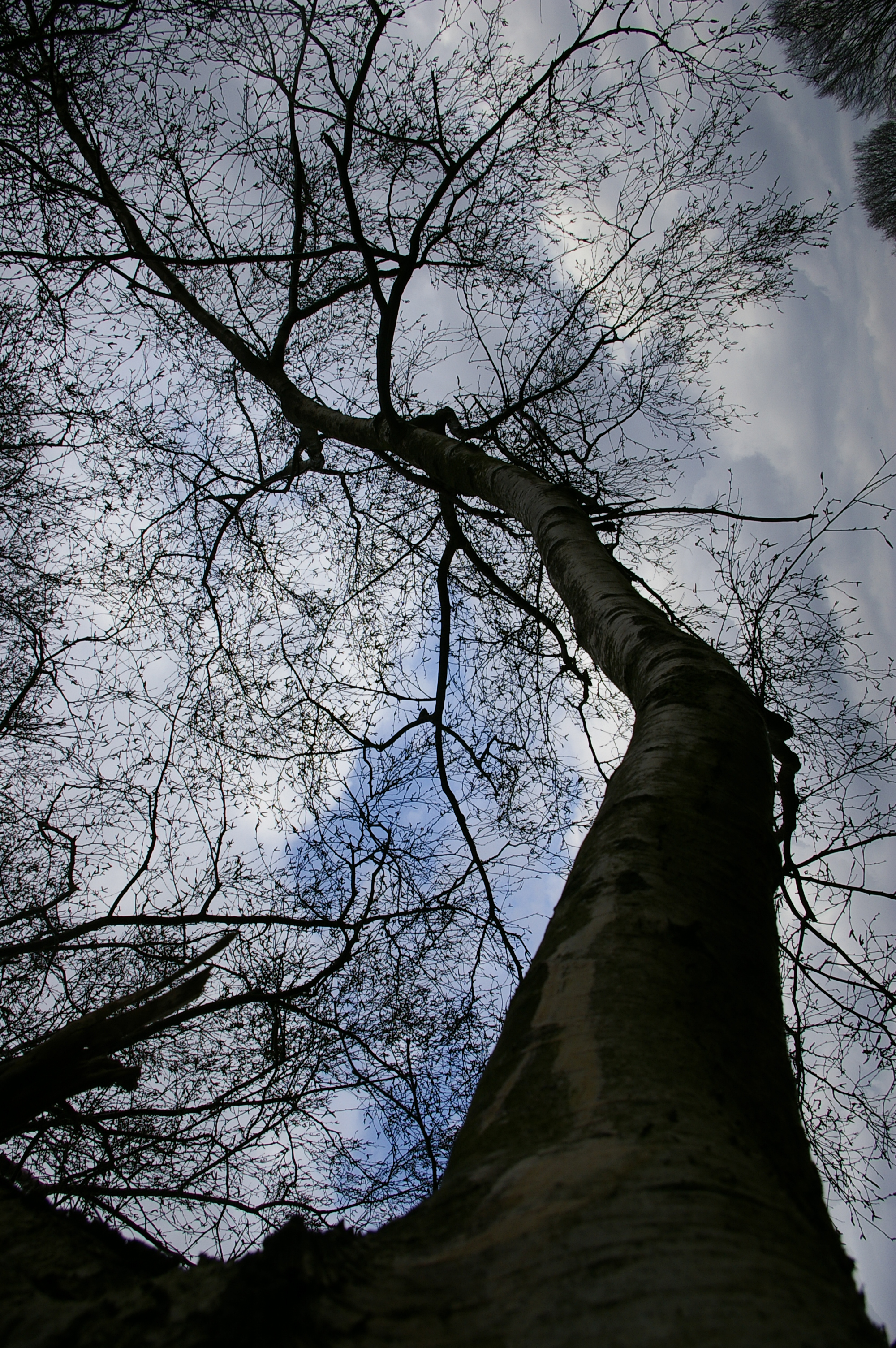 Samsung GX-1S Sample Image