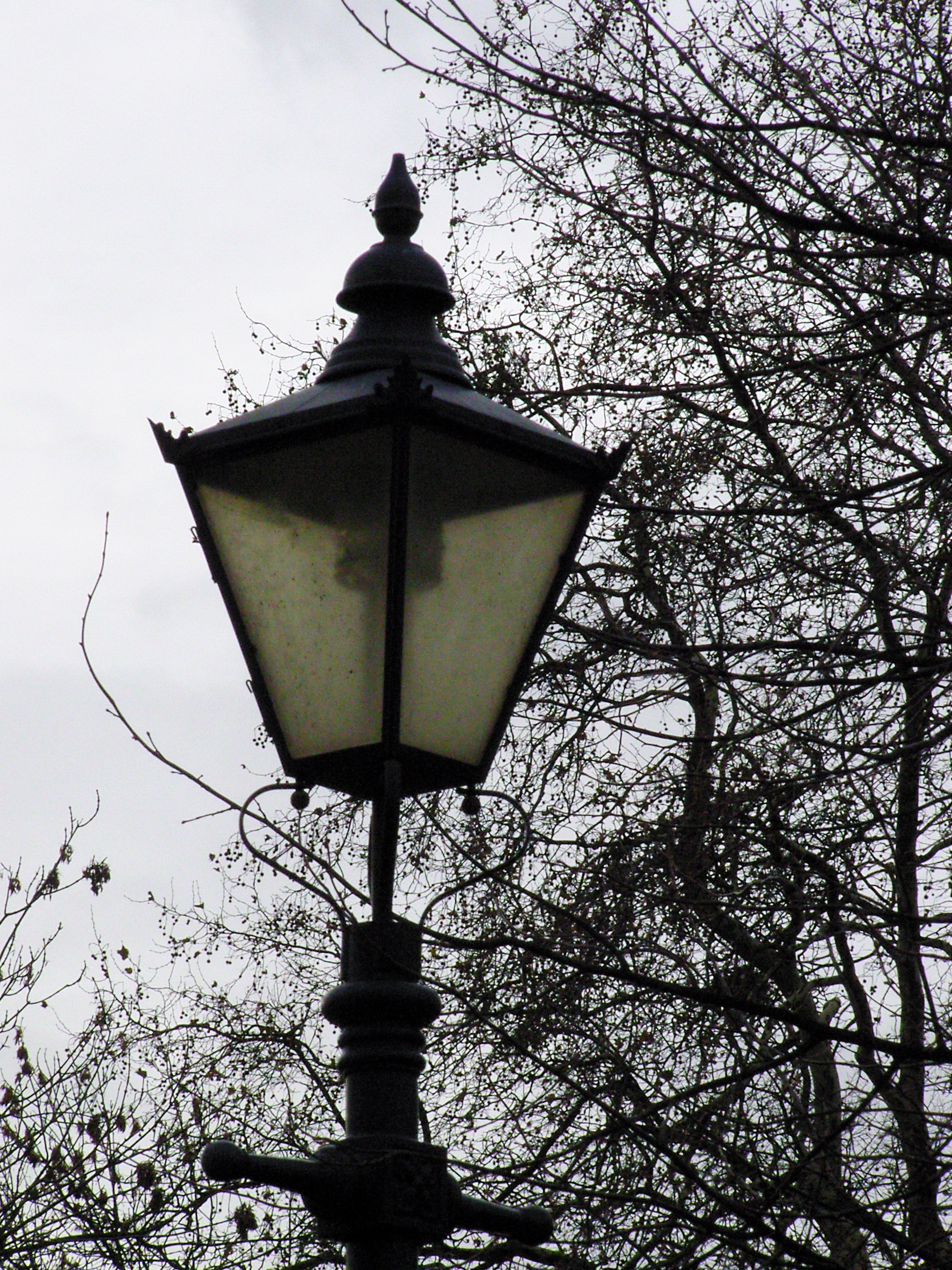 Samsung NV7 Sample Image f7.6 ISO400 Fringing