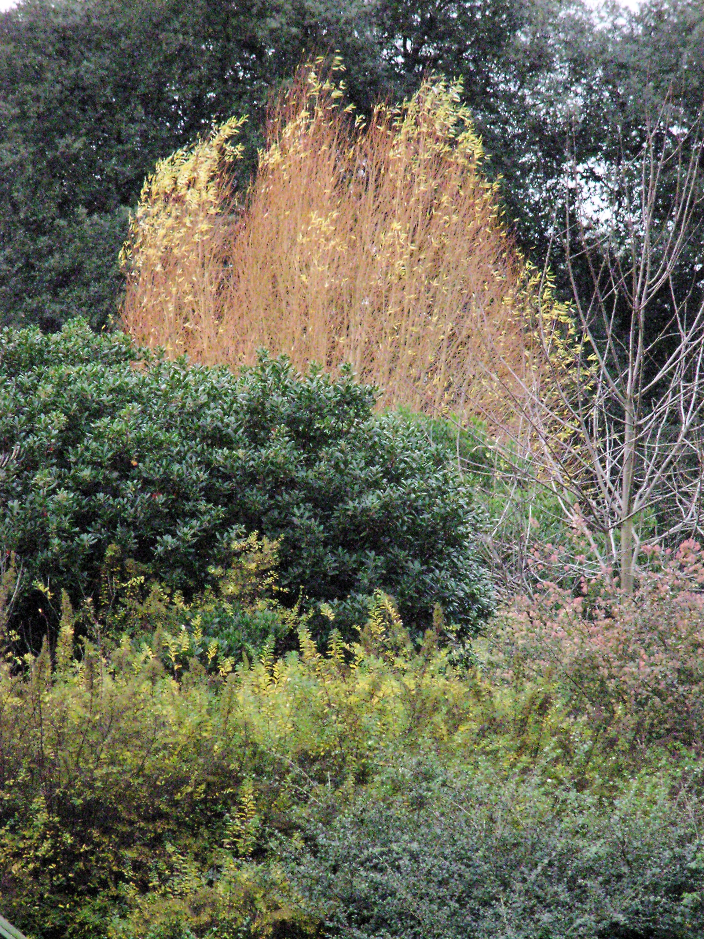 Samsung NV7 Sample Image f4.0 ISO1000 1/1000sec