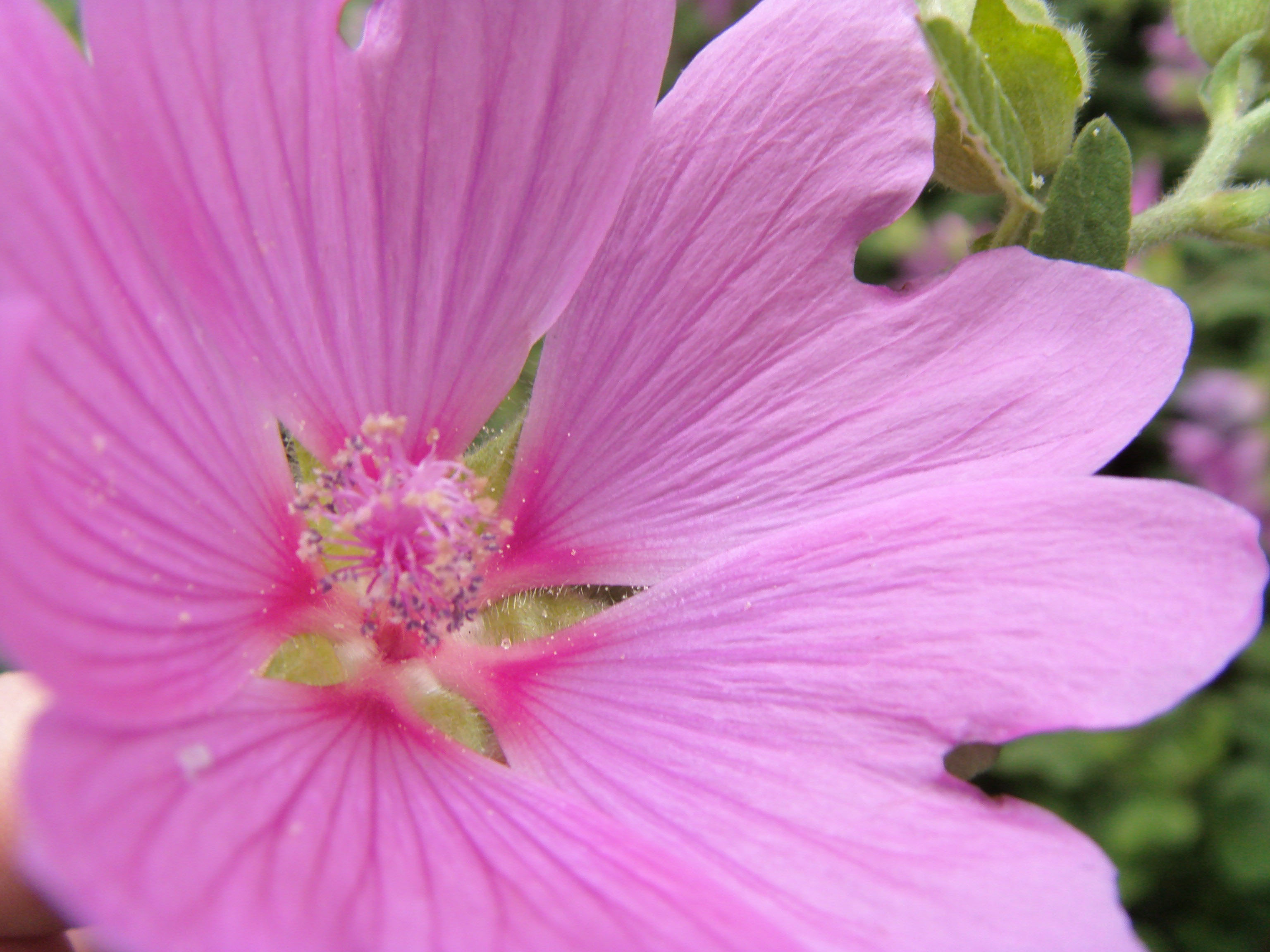Samsung i70 Sample Image f3.5 1/125sec ISO100