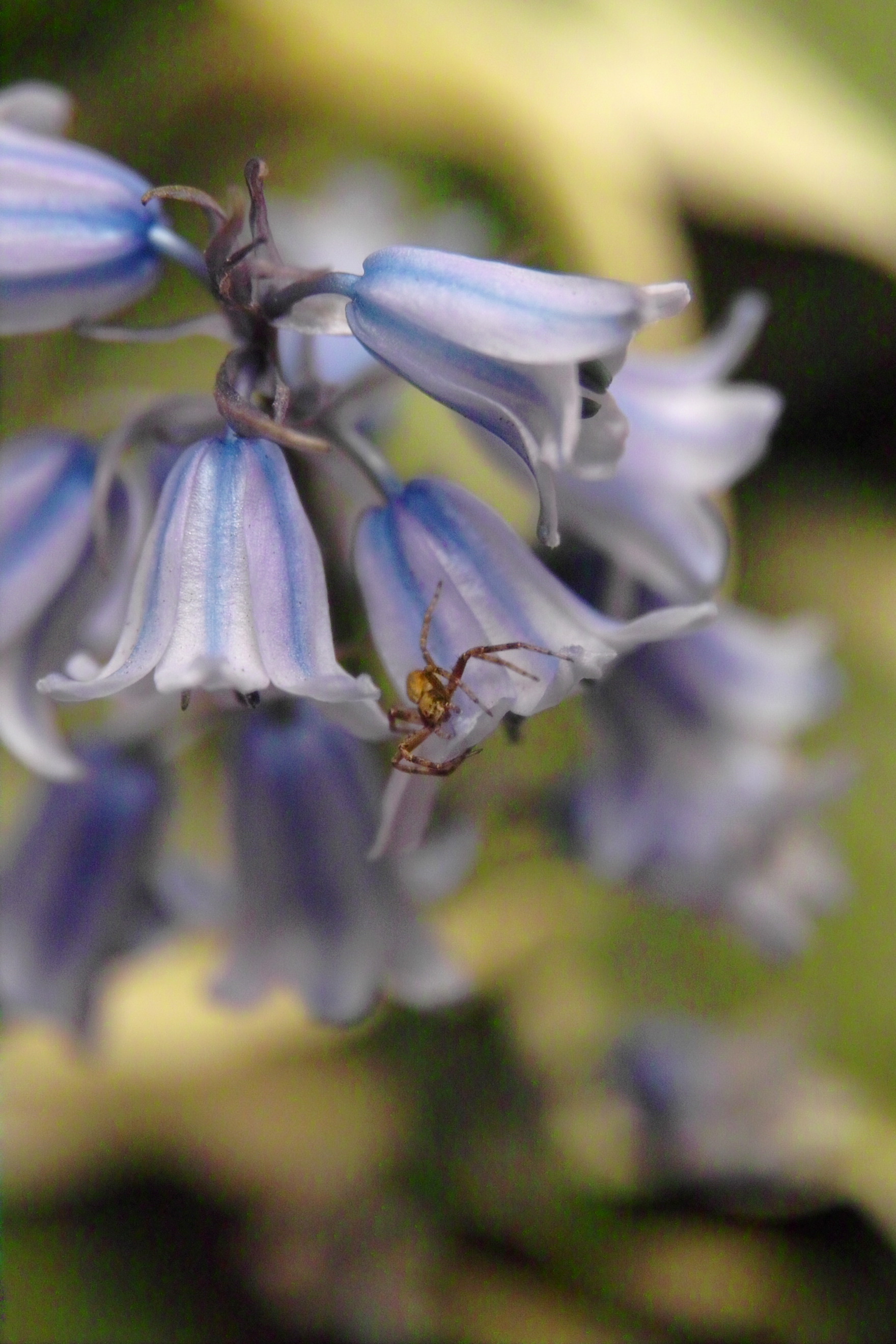 Sigma SD14 Sample Image f4.5 1/500sec ISO800 70mm