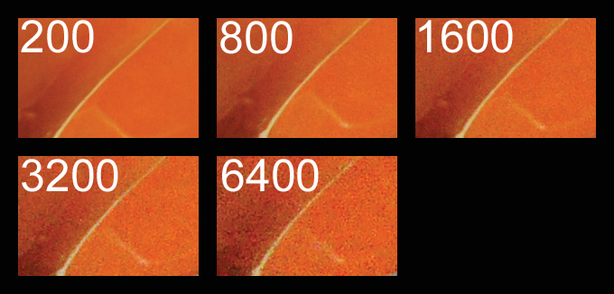 Nikon D90 ISO