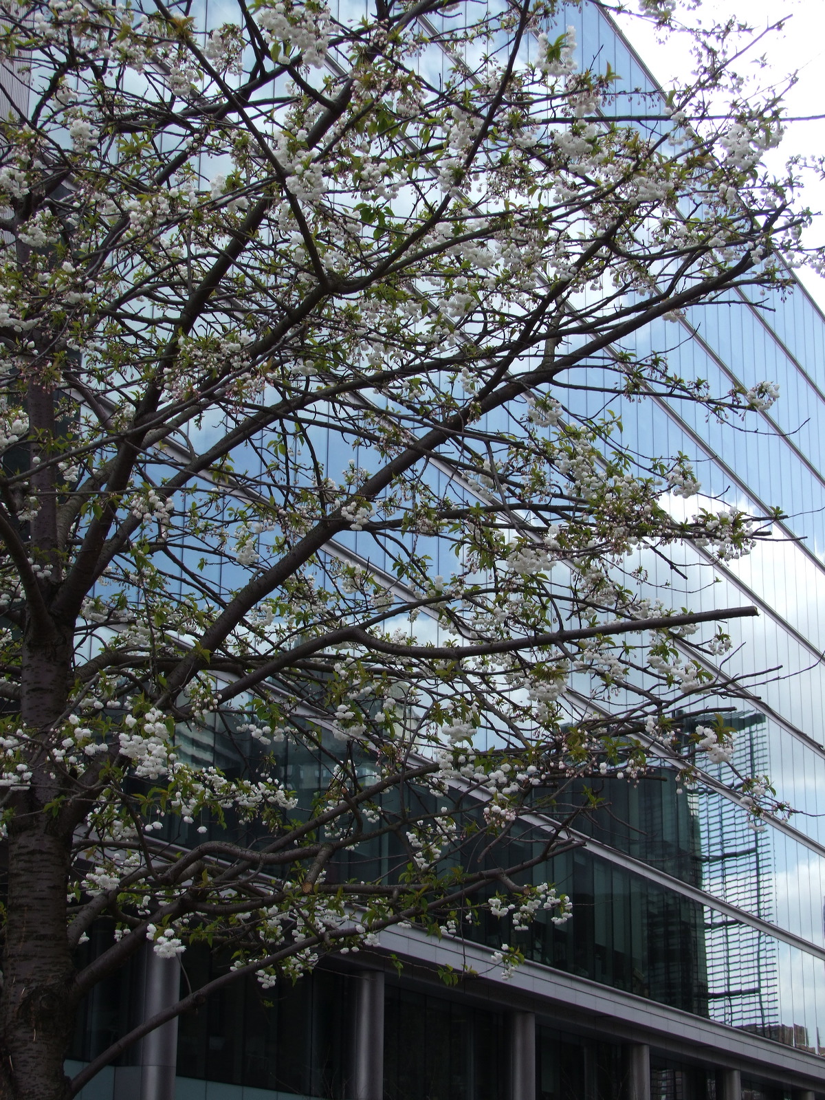 Fujifilm FinePix S100FS Sample Image