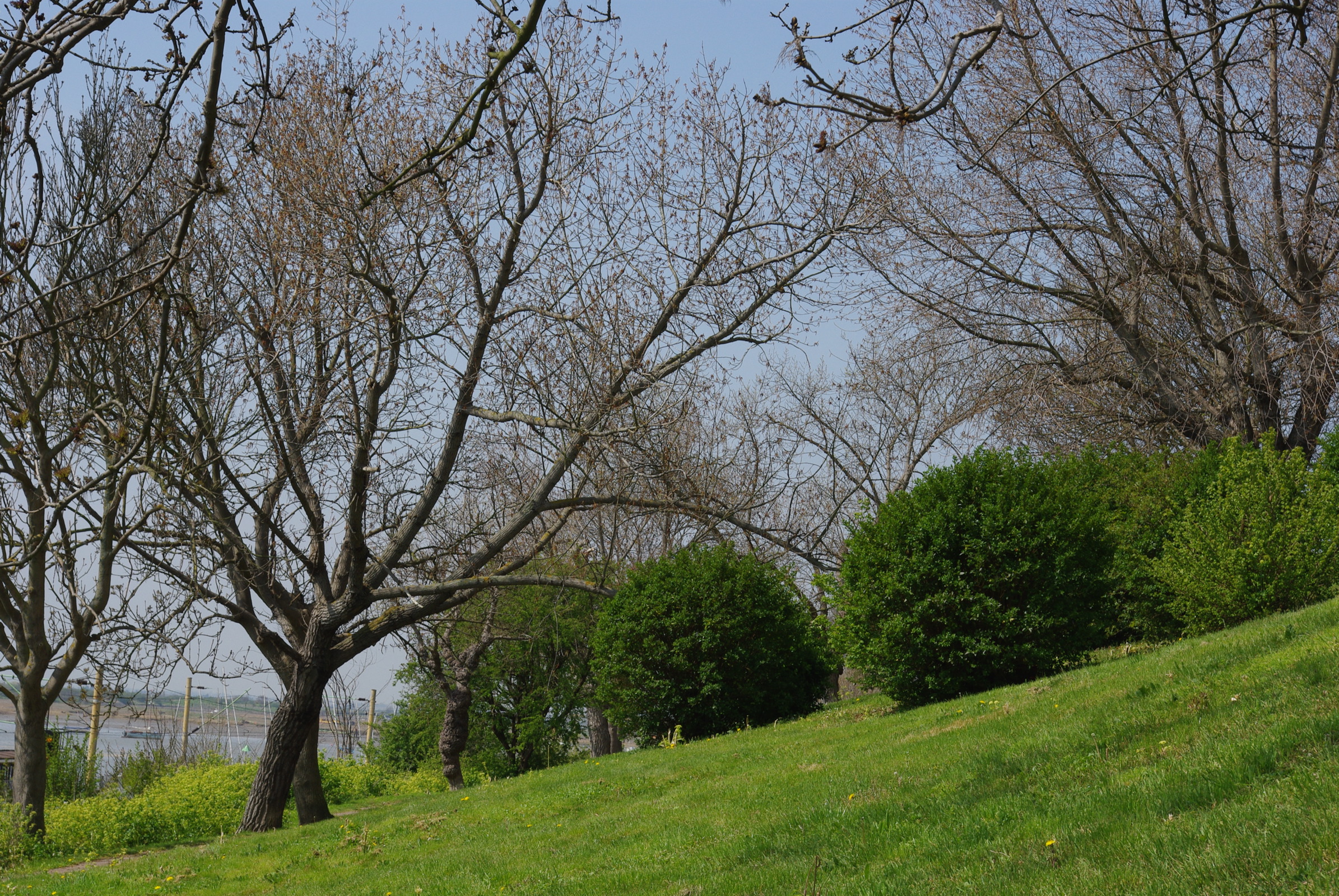 Pentax K200D S
