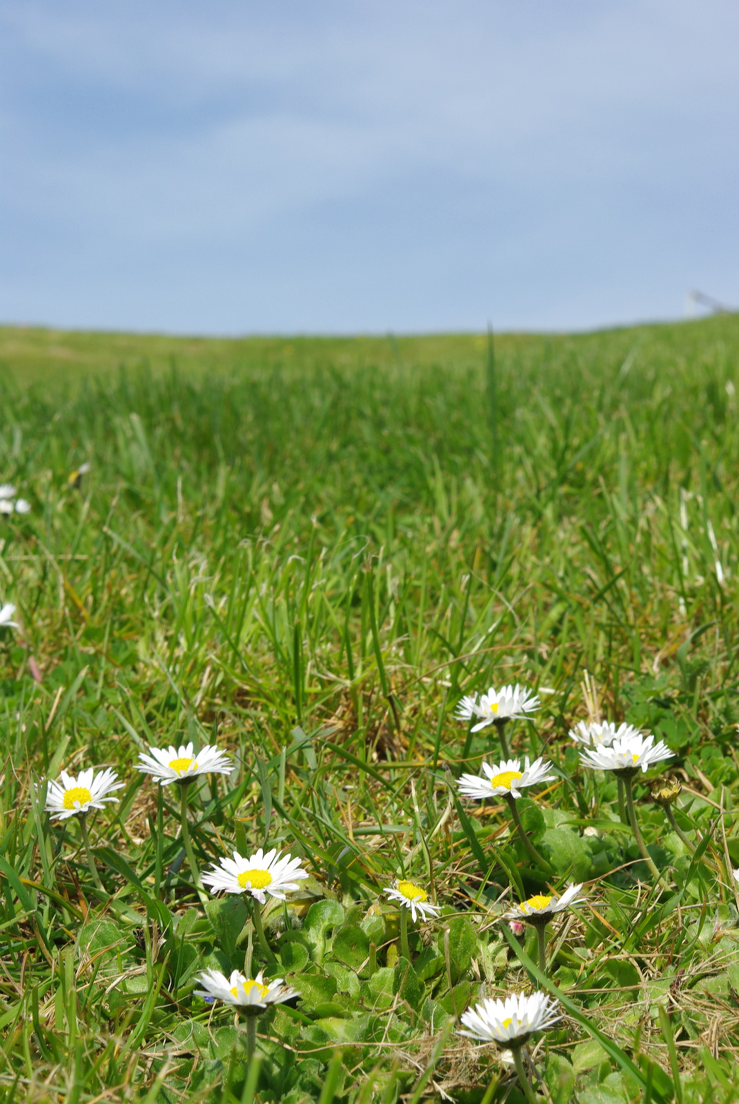 Pentax K200D