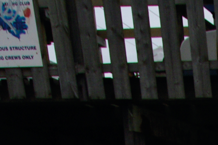 Pentax 20D