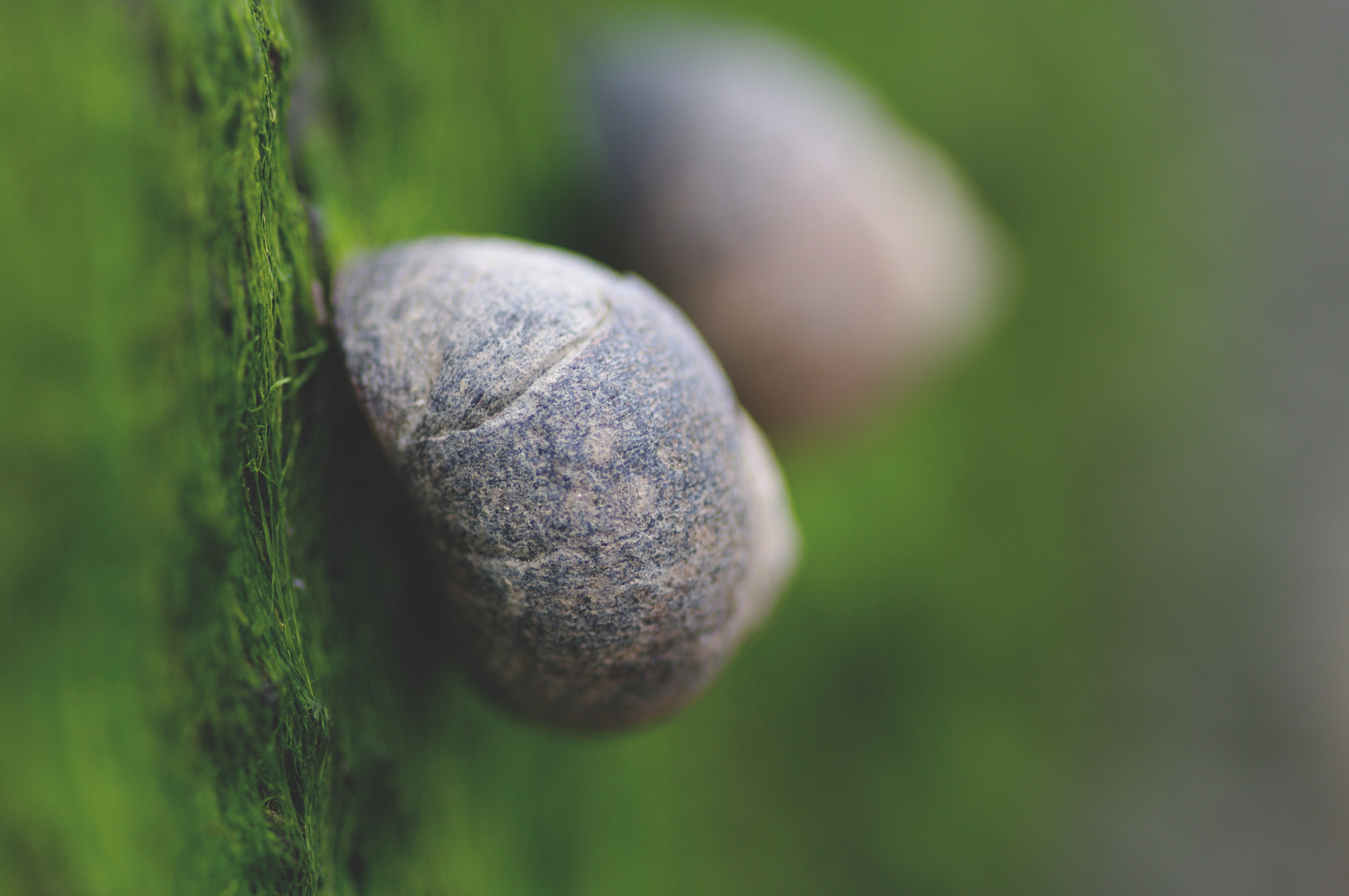 ISO200 f2.8 1/180 100mm