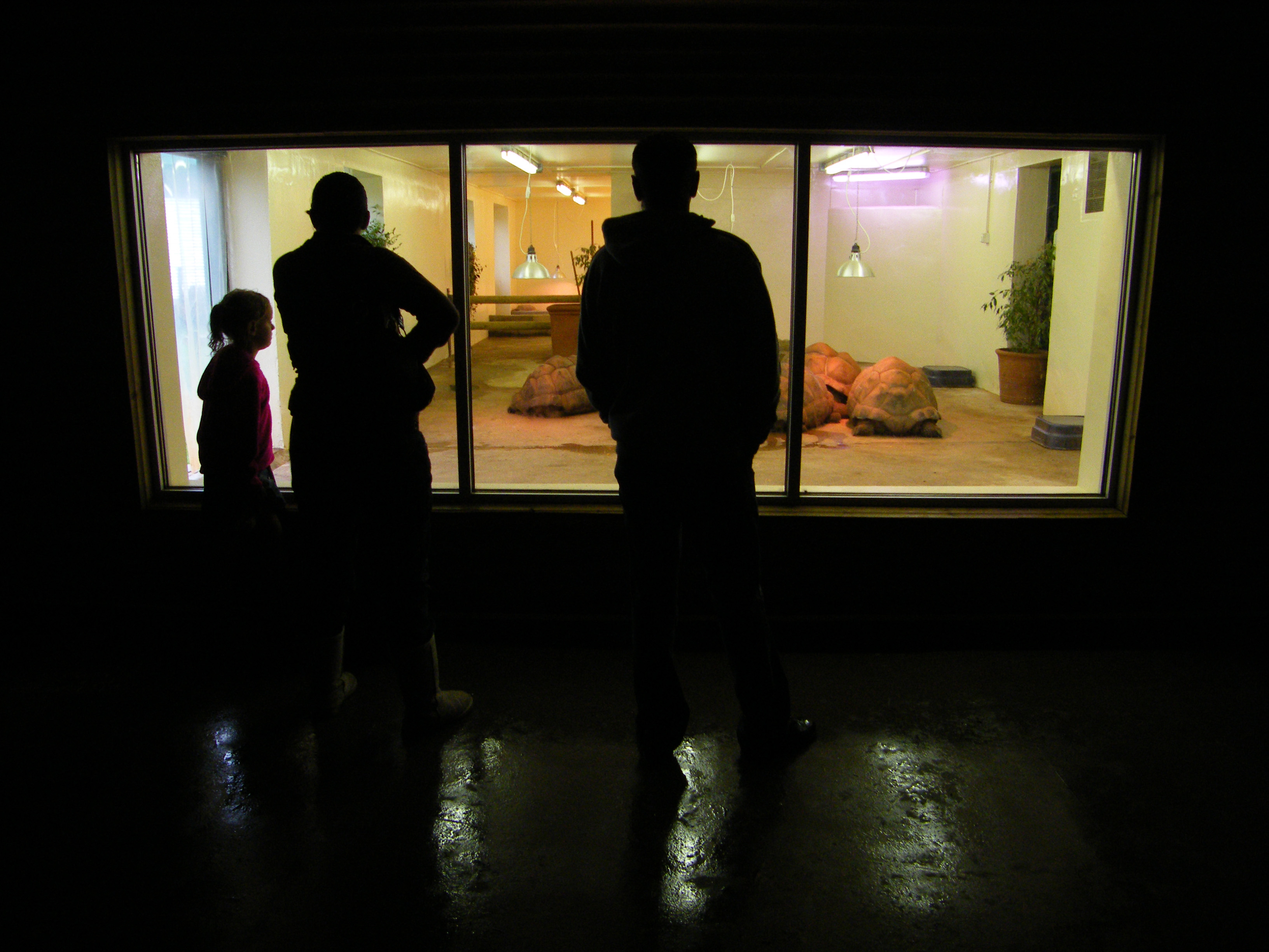 Fujifilm FinePix S8000fd Sample Image