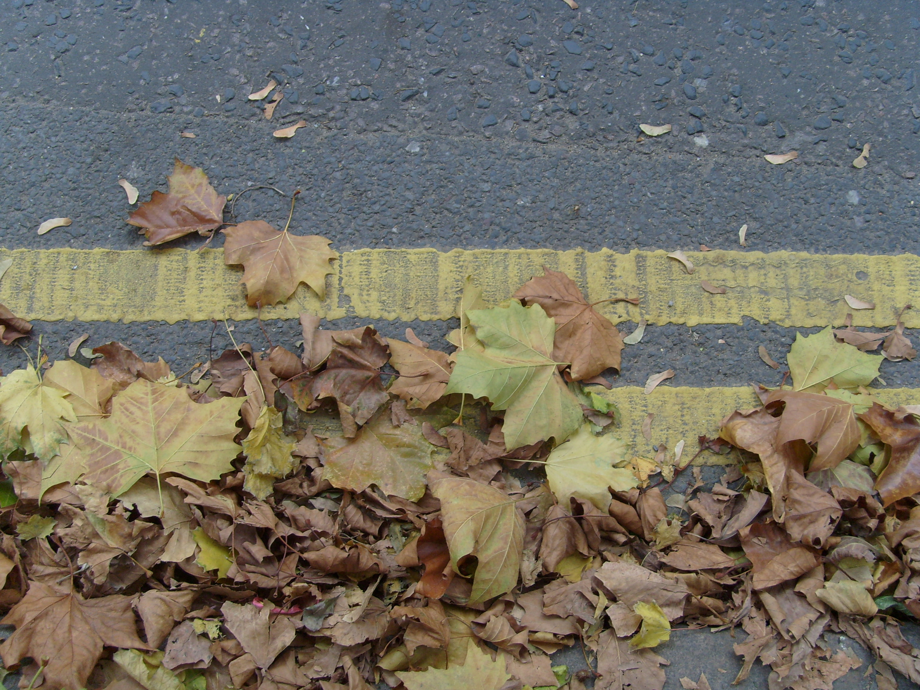 Samsung i7 Sample Image