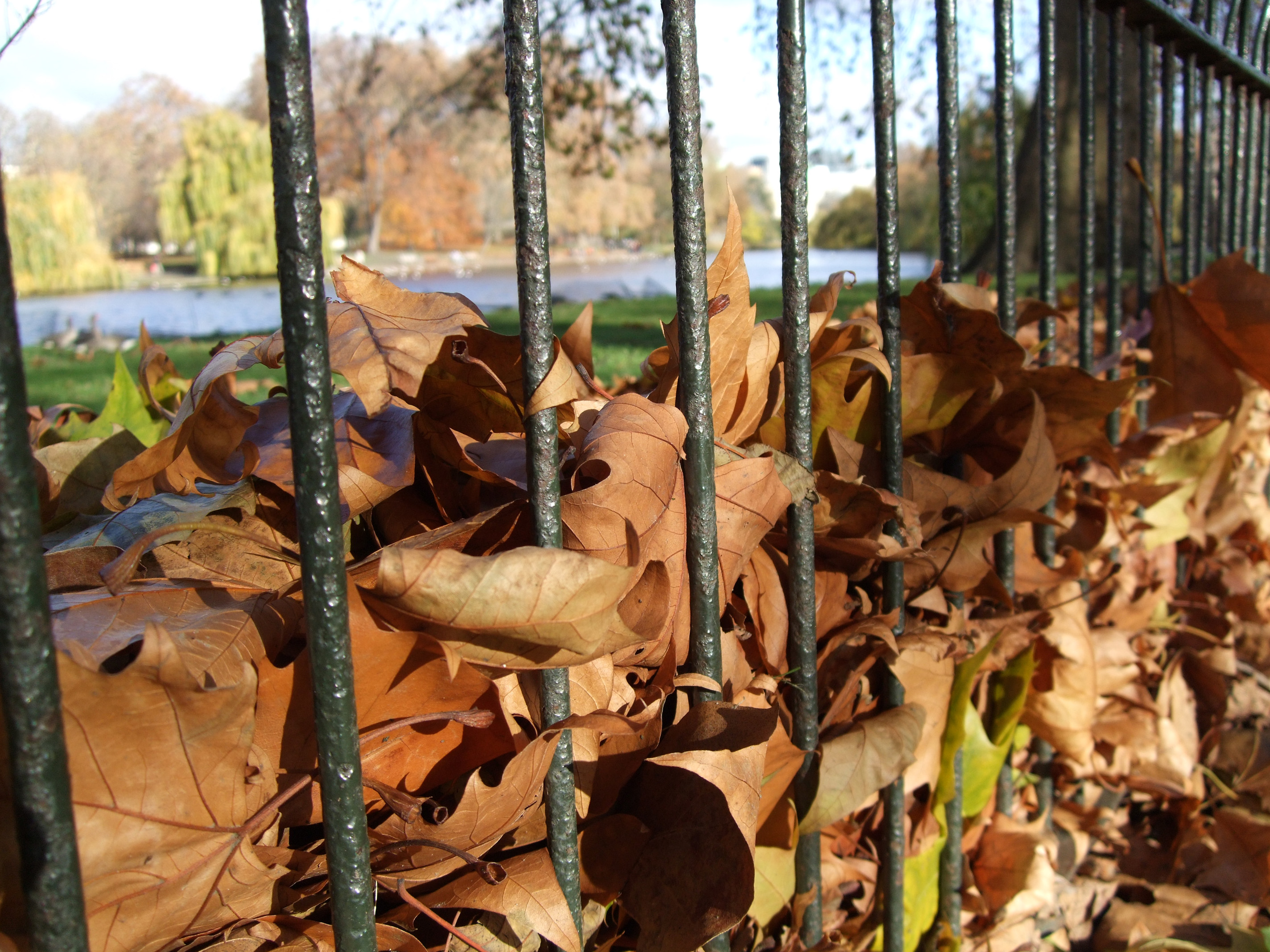 Fujifilm FinePix F50fd Sample Image