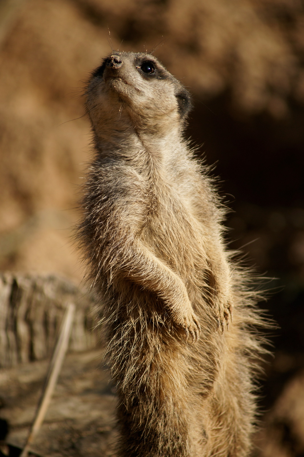 ISO200	f5.6	1/640	300mm