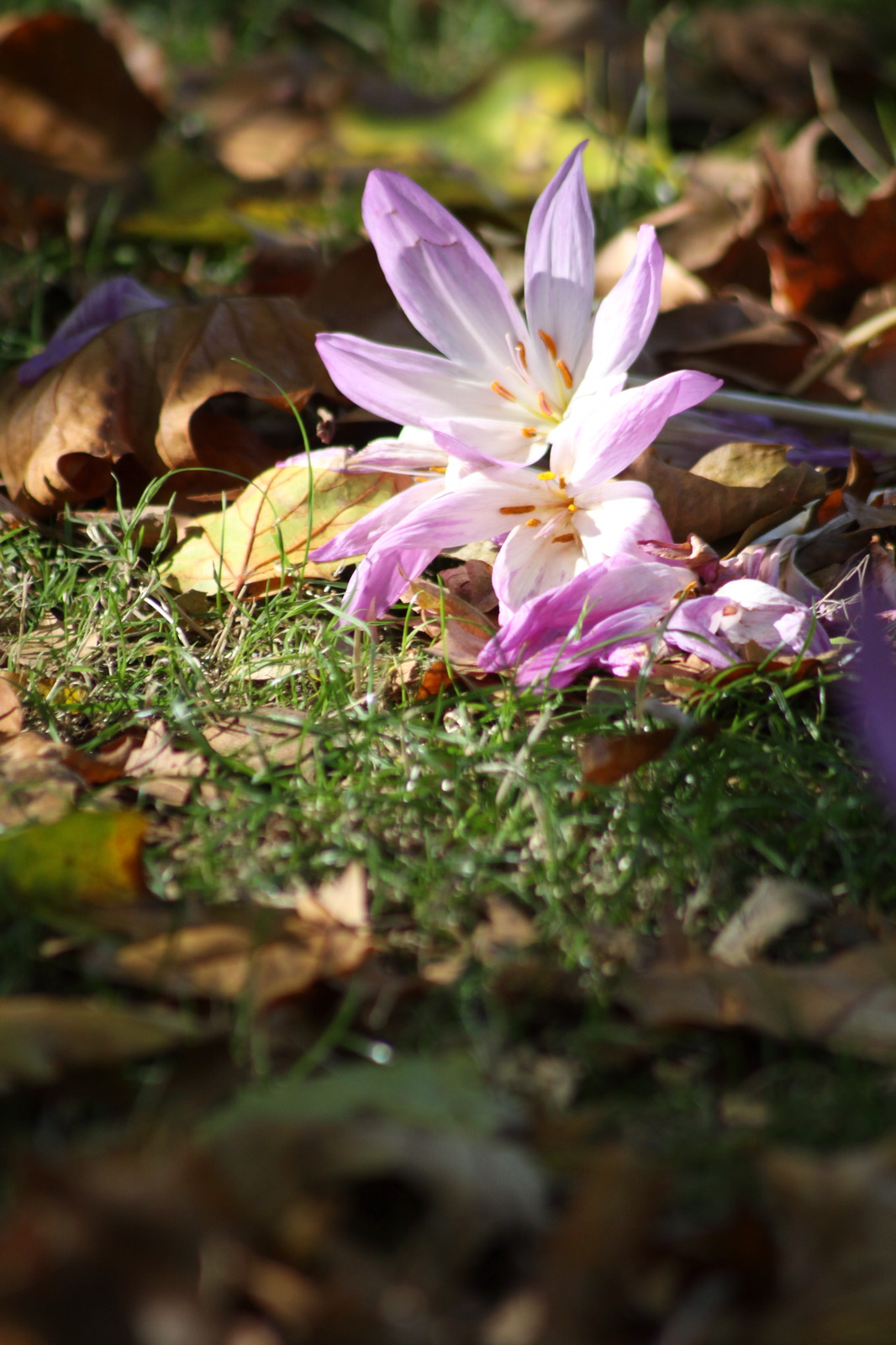 ISO400 f5.6 1/400sec 300mm