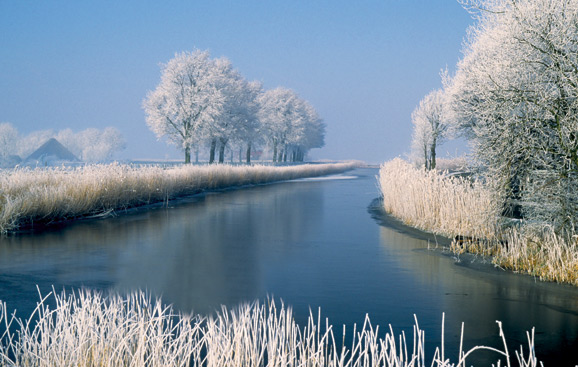 winter578