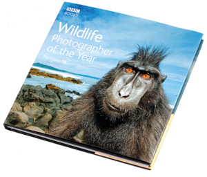 Wildlife Photographer of the Year 19