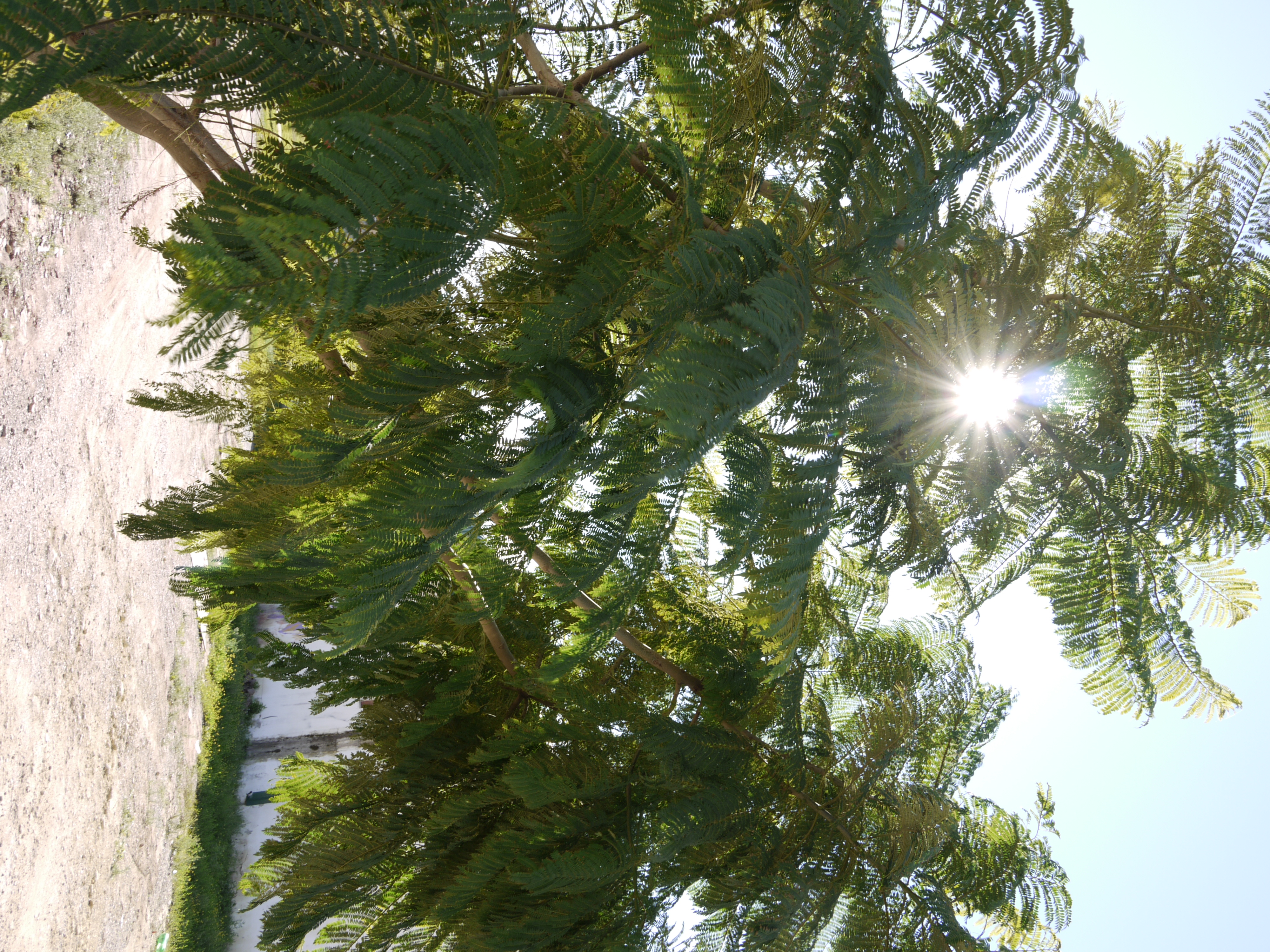 Panasonic Lumix G1 Sample Image