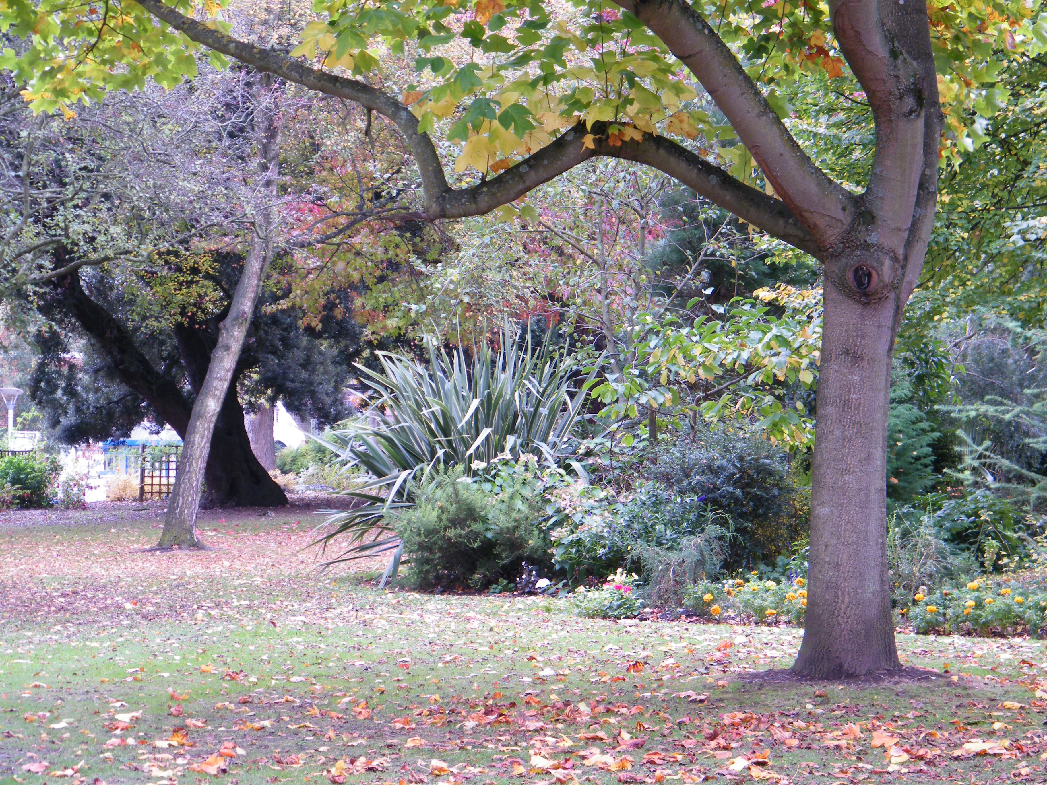 Fujifilm FinePix S2000HD sample image
