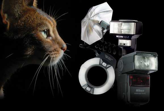 FLash Technology Guide